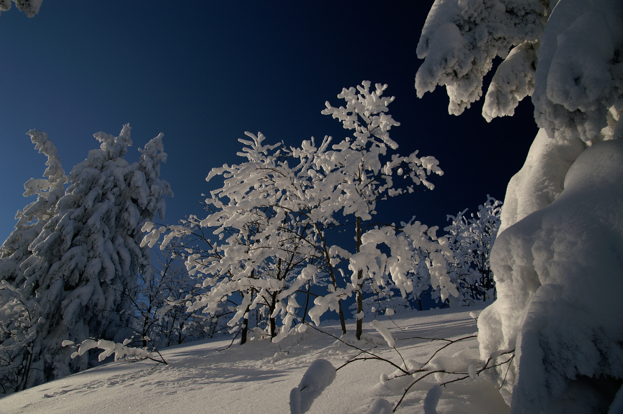 KONICA MINOLTA DYNAX 7D sample photo. Winter wonder land -7 photography