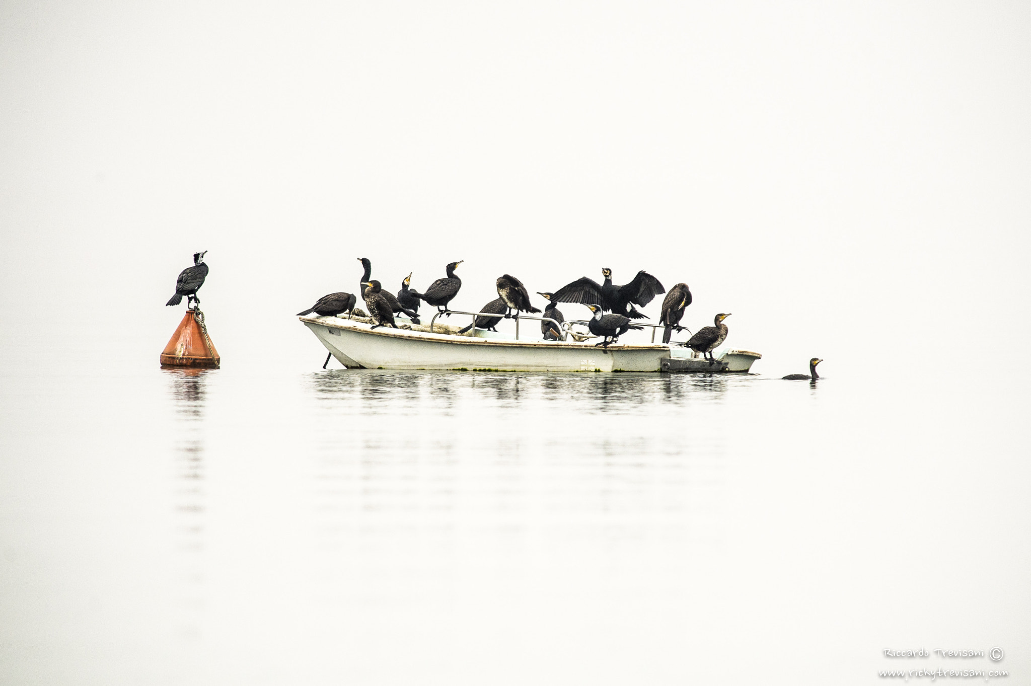 Nikon AF-S Nikkor 300mm F2.8G ED VR II sample photo. Full boat photography