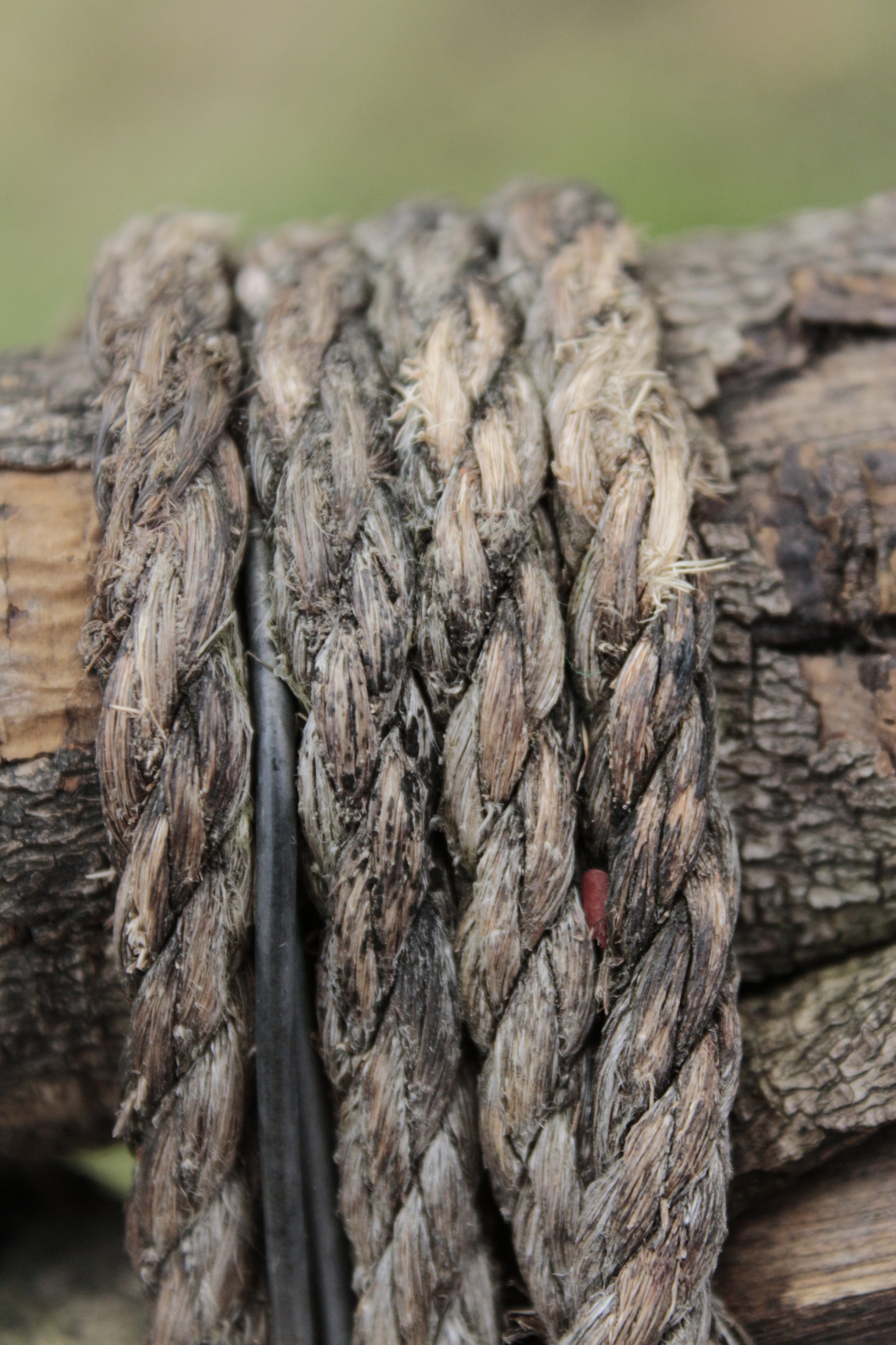 Canon EOS 650D (EOS Rebel T4i / EOS Kiss X6i) sample photo. Textura photography