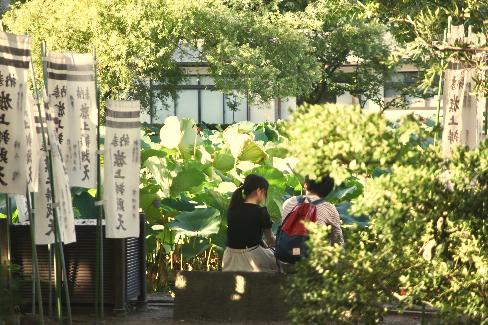 Canon EOS 5D Mark II + Tamron SP 70-300mm F4-5.6 Di VC USD sample photo. Japanese square photography