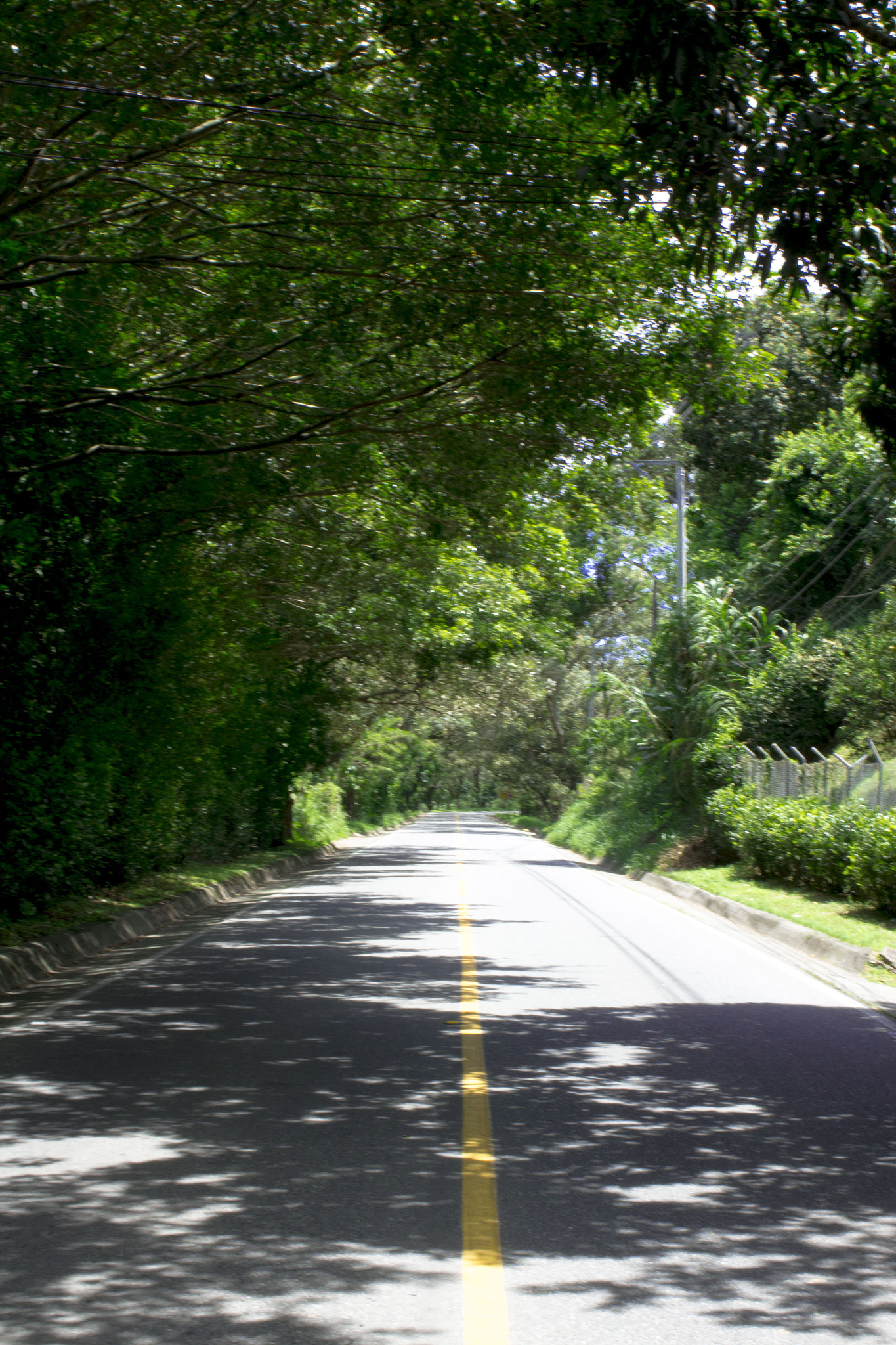 Canon EOS 650D (EOS Rebel T4i / EOS Kiss X6i) sample photo. Perspectiva photography