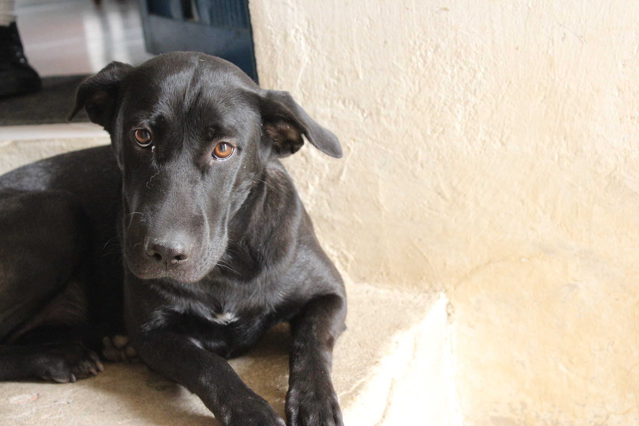 Canon EOS 650D (EOS Rebel T4i / EOS Kiss X6i) sample photo. Dayra photography