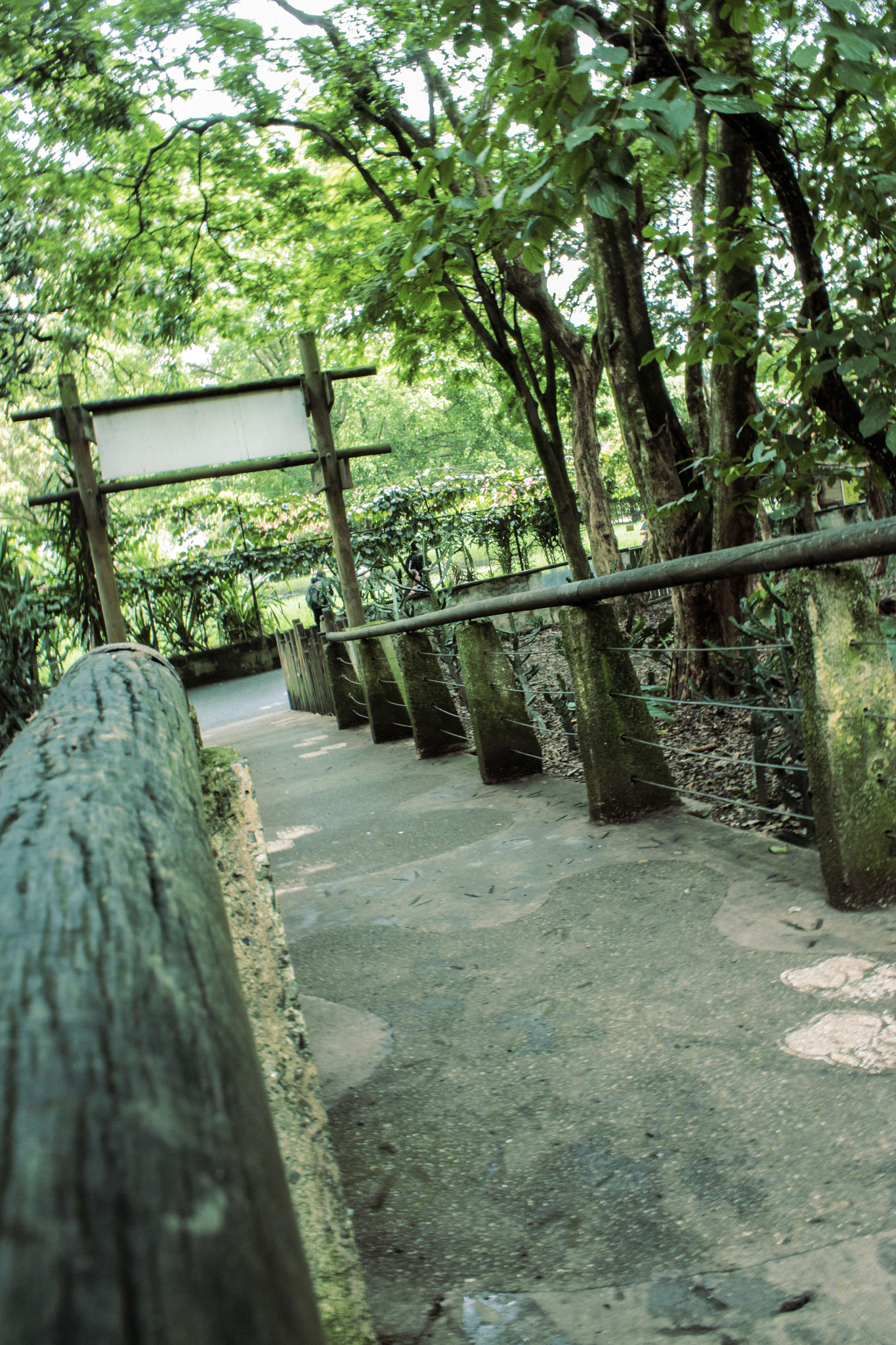 Canon EOS 650D (EOS Rebel T4i / EOS Kiss X6i) sample photo. Perspectiva photography