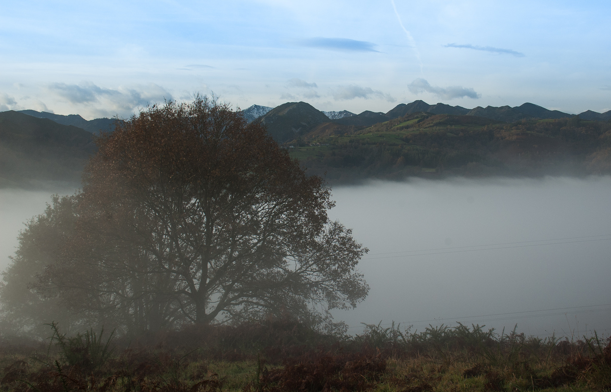 Nikon D70 sample photo. Niebla en el valle photography