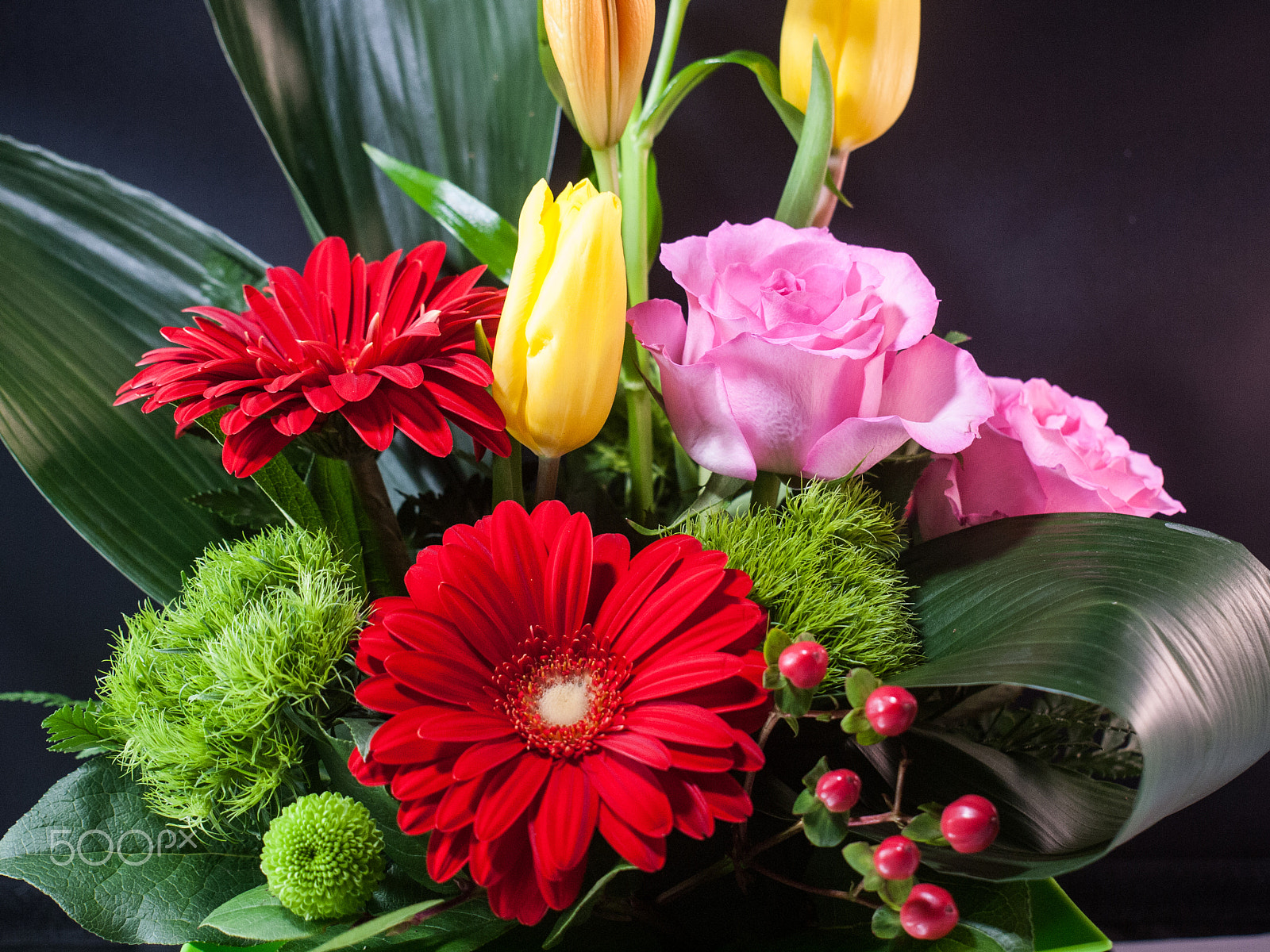 Olympus Zuiko Digital ED 40-150mm F4.0-5.6 sample photo. Special occasion flowers photography