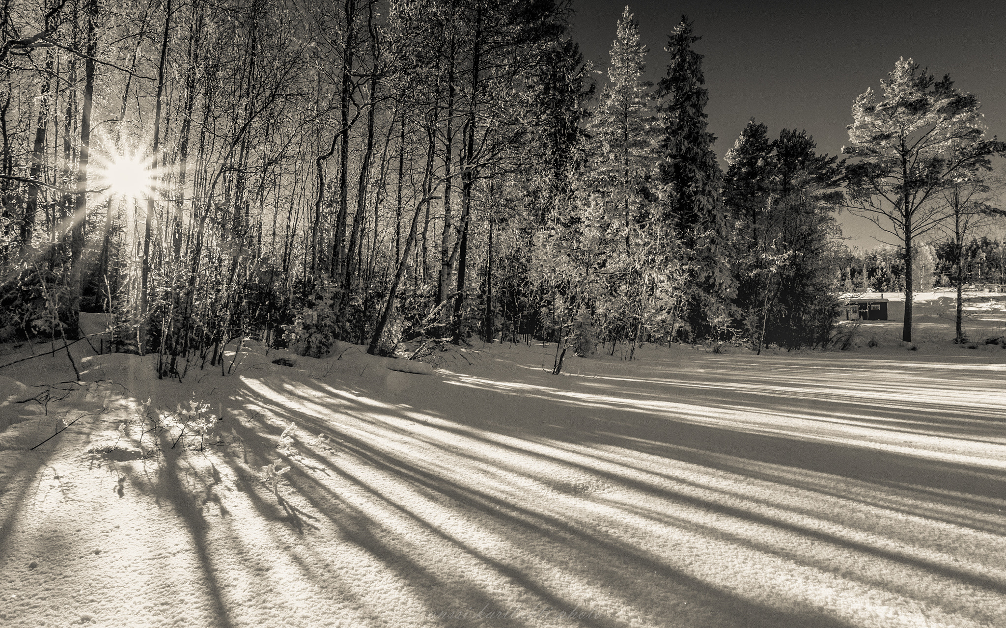 Nikon D300 sample photo. Bw winter shadows photography