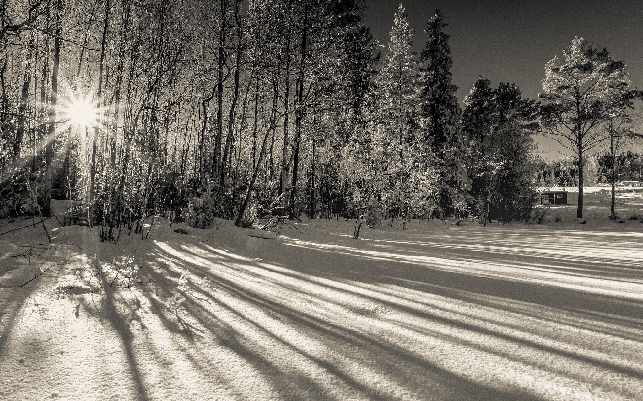 Nikon D300 + Sigma 10-20mm F3.5 EX DC HSM sample photo. Bw winter shadows photography