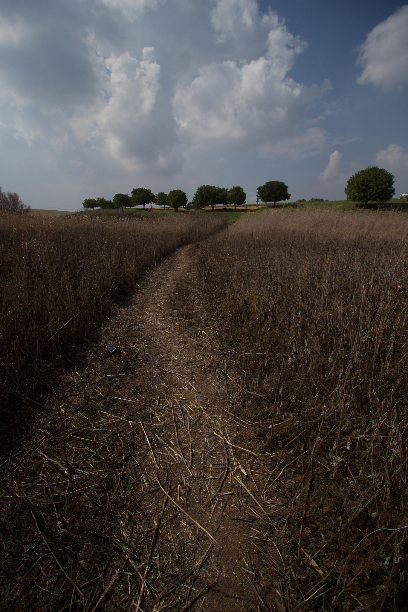 Canon EOS 700D (EOS Rebel T5i / EOS Kiss X7i) sample photo. Yellow towards green - phura reservoir photography