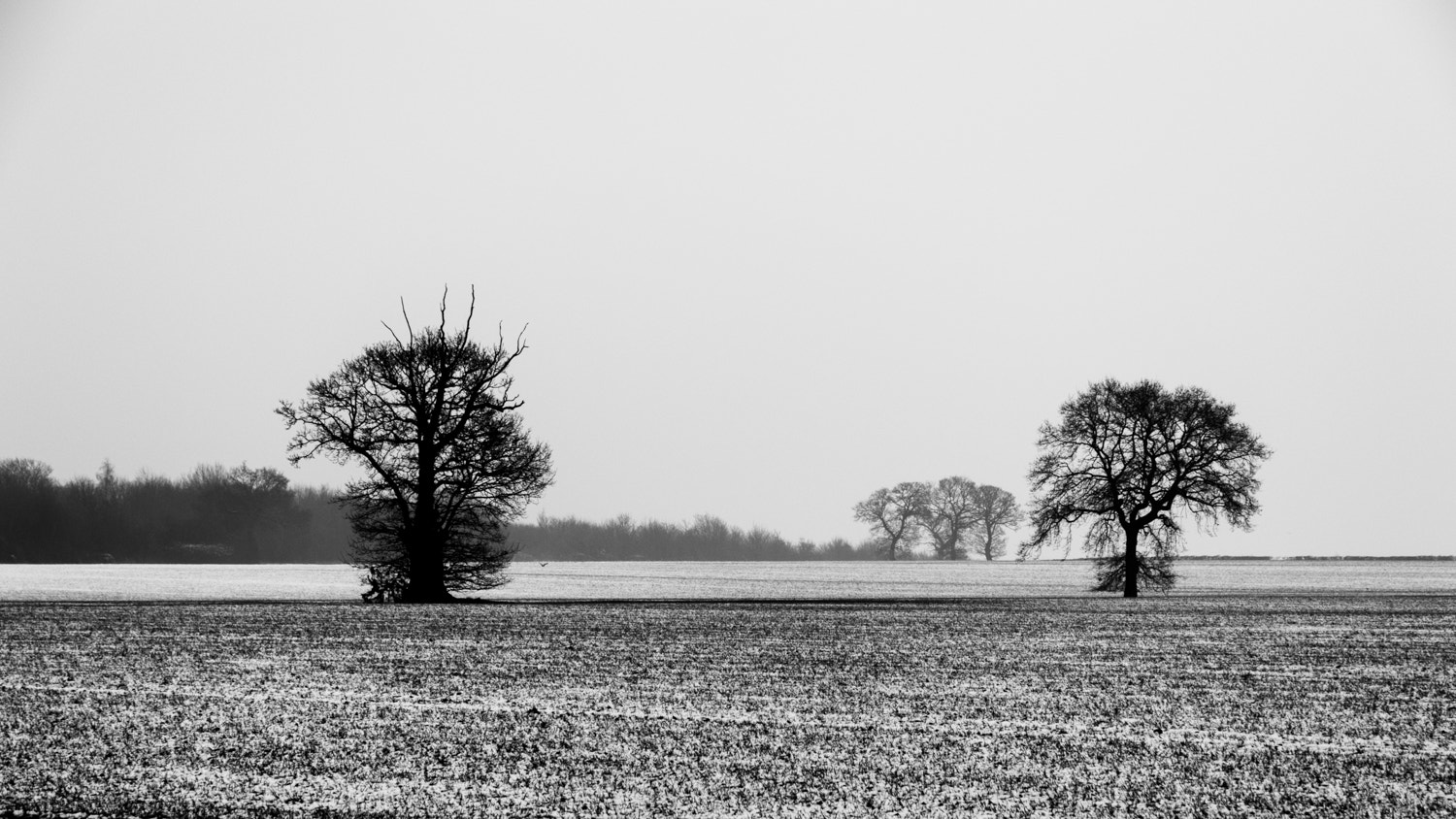 Nikon D3200 sample photo. Norfolk winter #1 photography