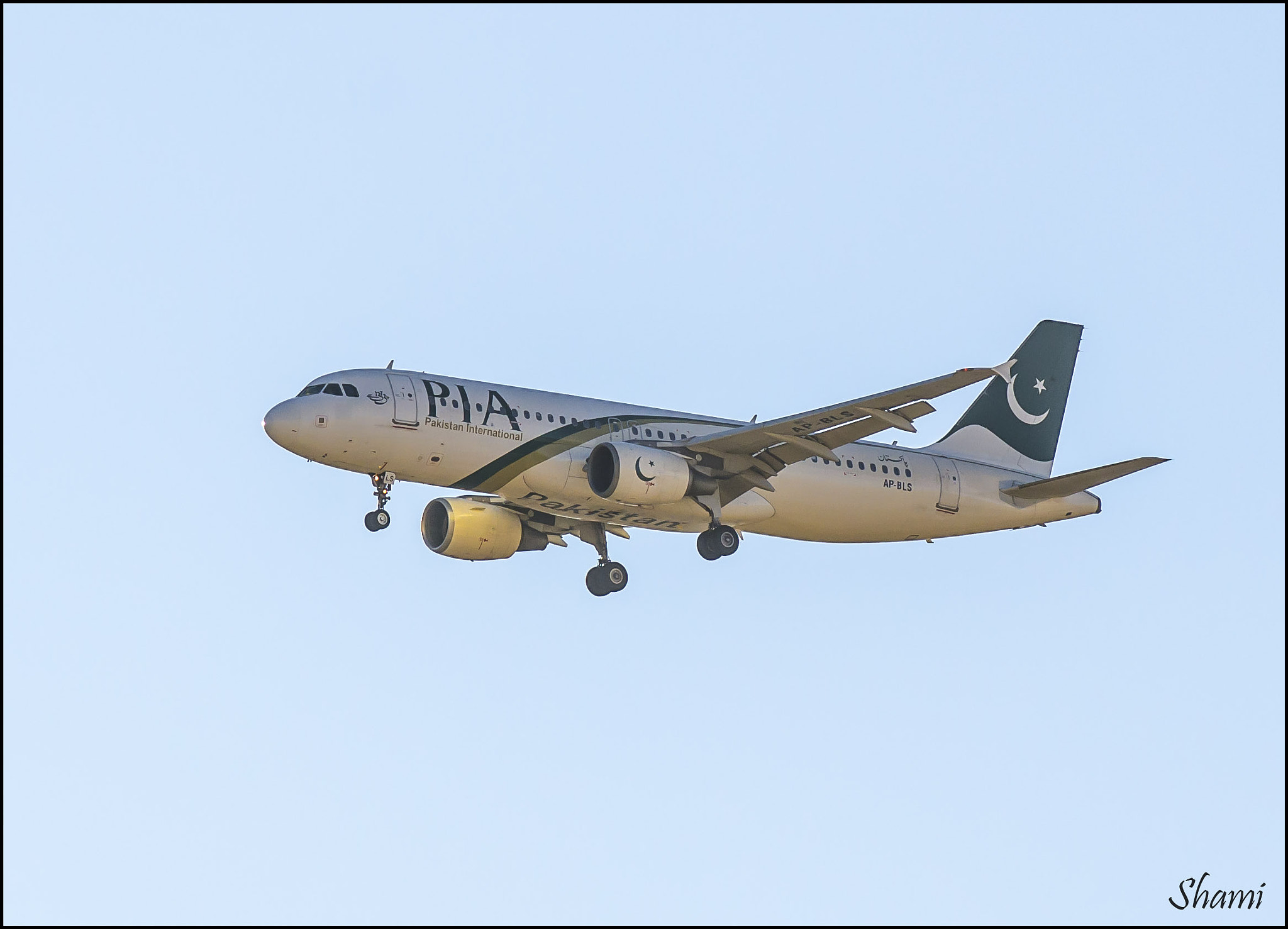 Nikon AF-S Nikkor 300mm F2.8G ED VR II sample photo. P.i.a. photography