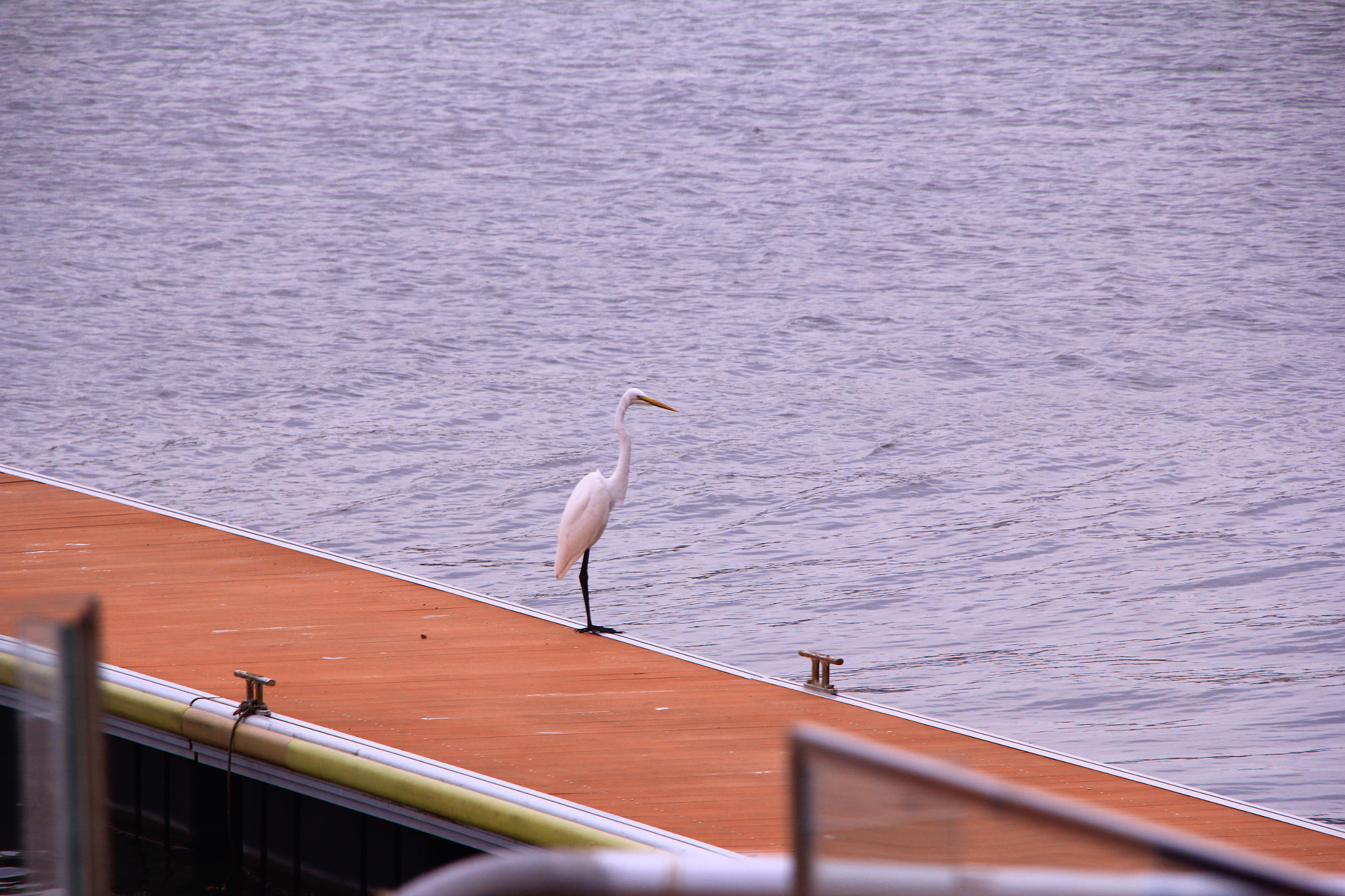 Canon EOS 60D sample photo. Review（sanya river,china） photography