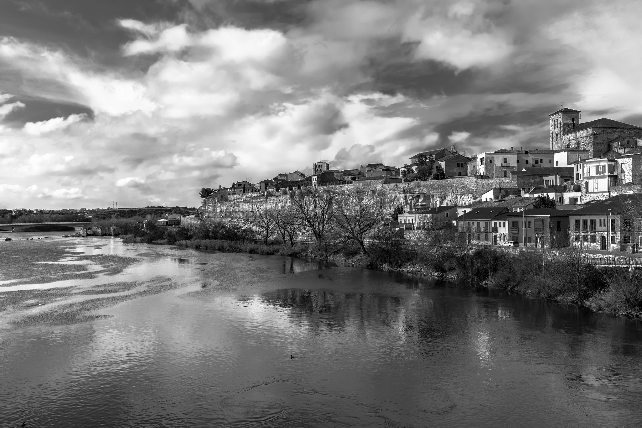 Canon EOS 5DS R + Canon EF 35mm F1.4L II USM sample photo. Vistas zamora desde el puente black & white photography