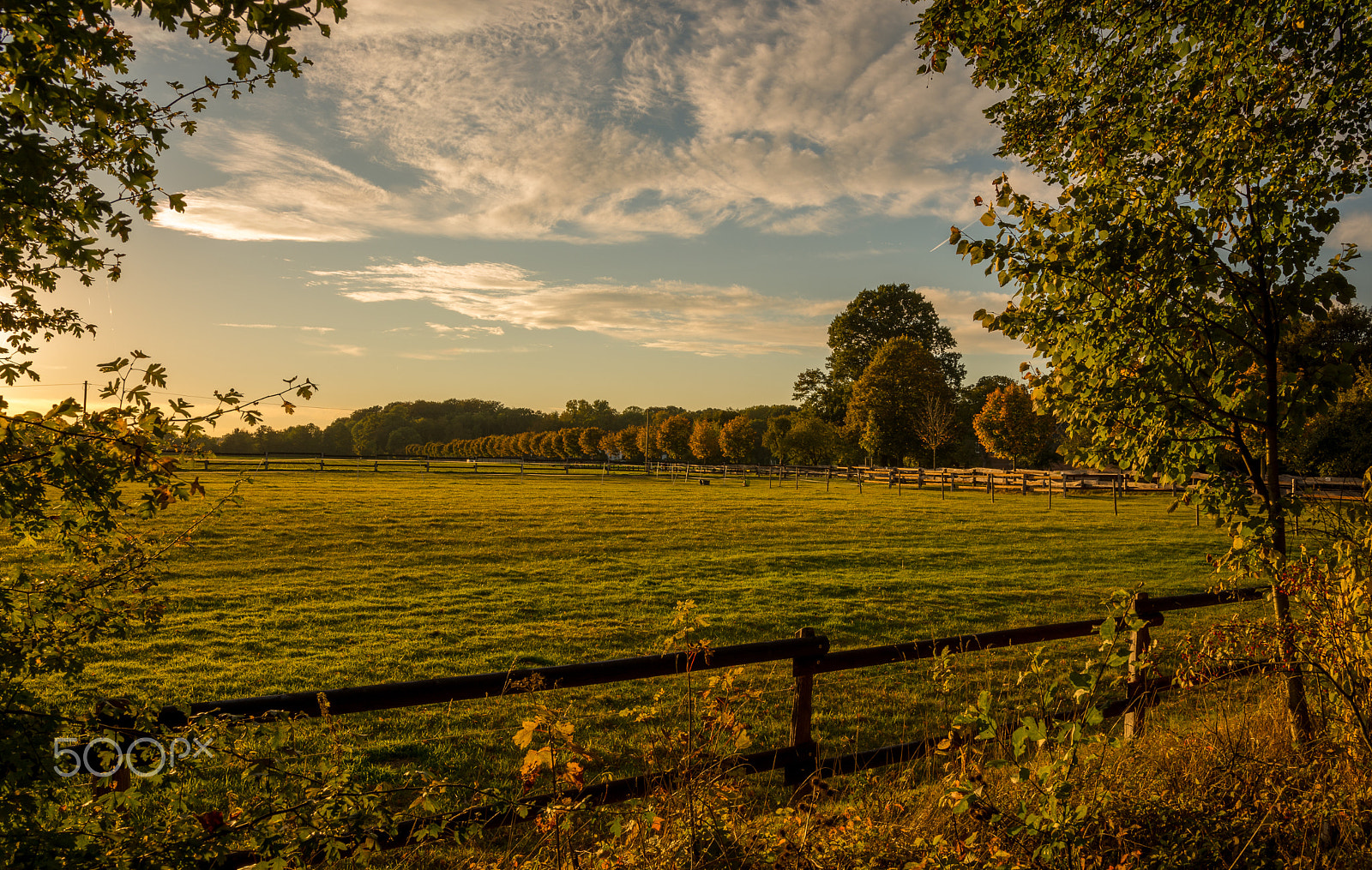Nikon D5200 + Sigma 18-35mm F1.8 DC HSM Art sample photo. Meadow in the sunset photography