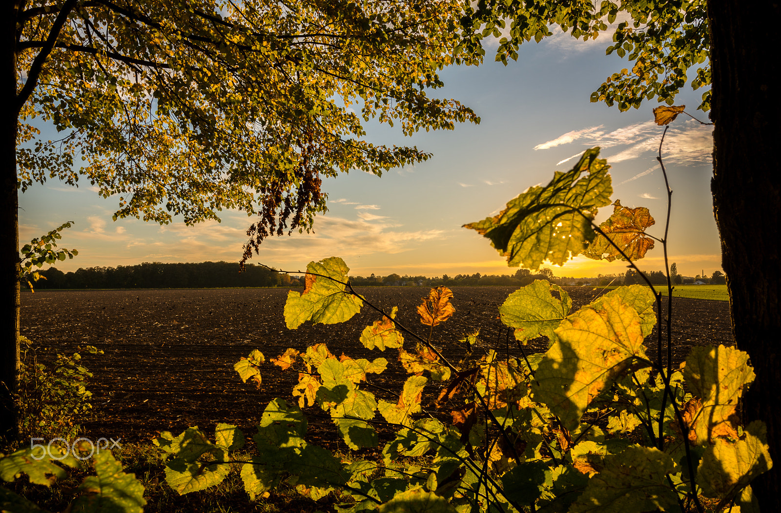 Nikon D5200 + Sigma 18-35mm F1.8 DC HSM Art sample photo. Autumn photography