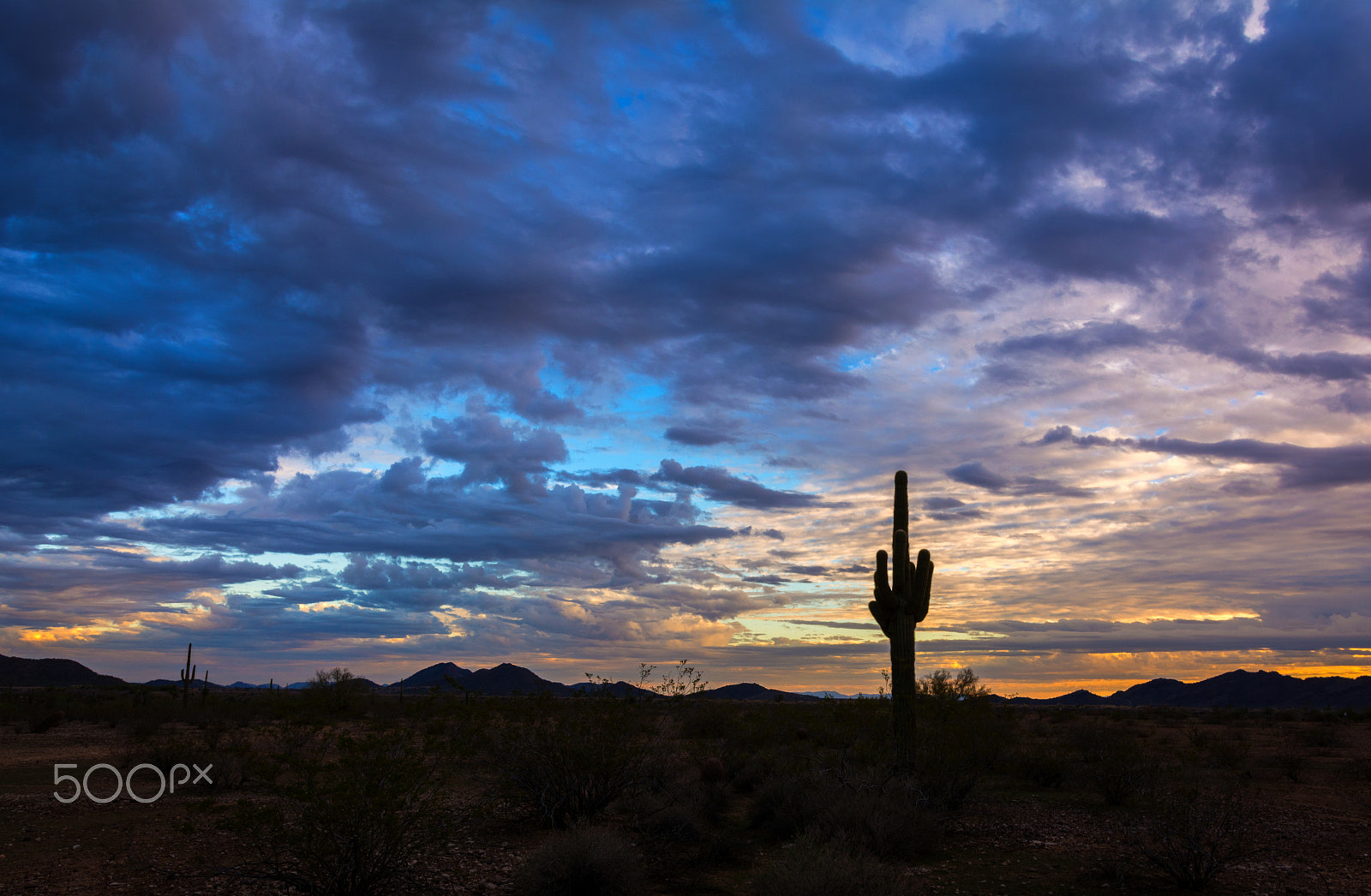 Nikon D5200 + Sigma 18-35mm F1.8 DC HSM Art sample photo. Sunset in arizona dessert photography