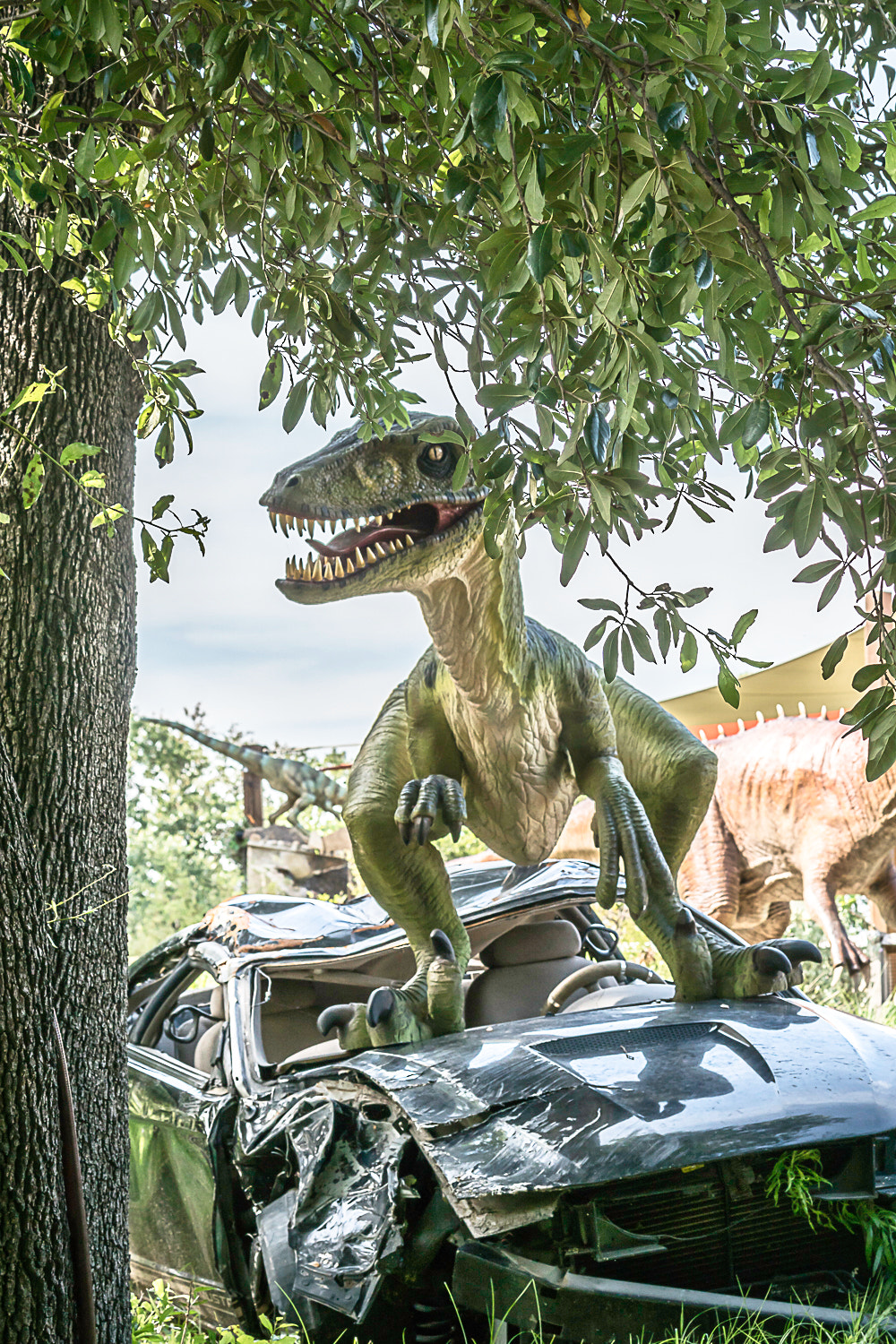 Sony 70-400mm F4-5.6 G SSM II sample photo. Dino photography
