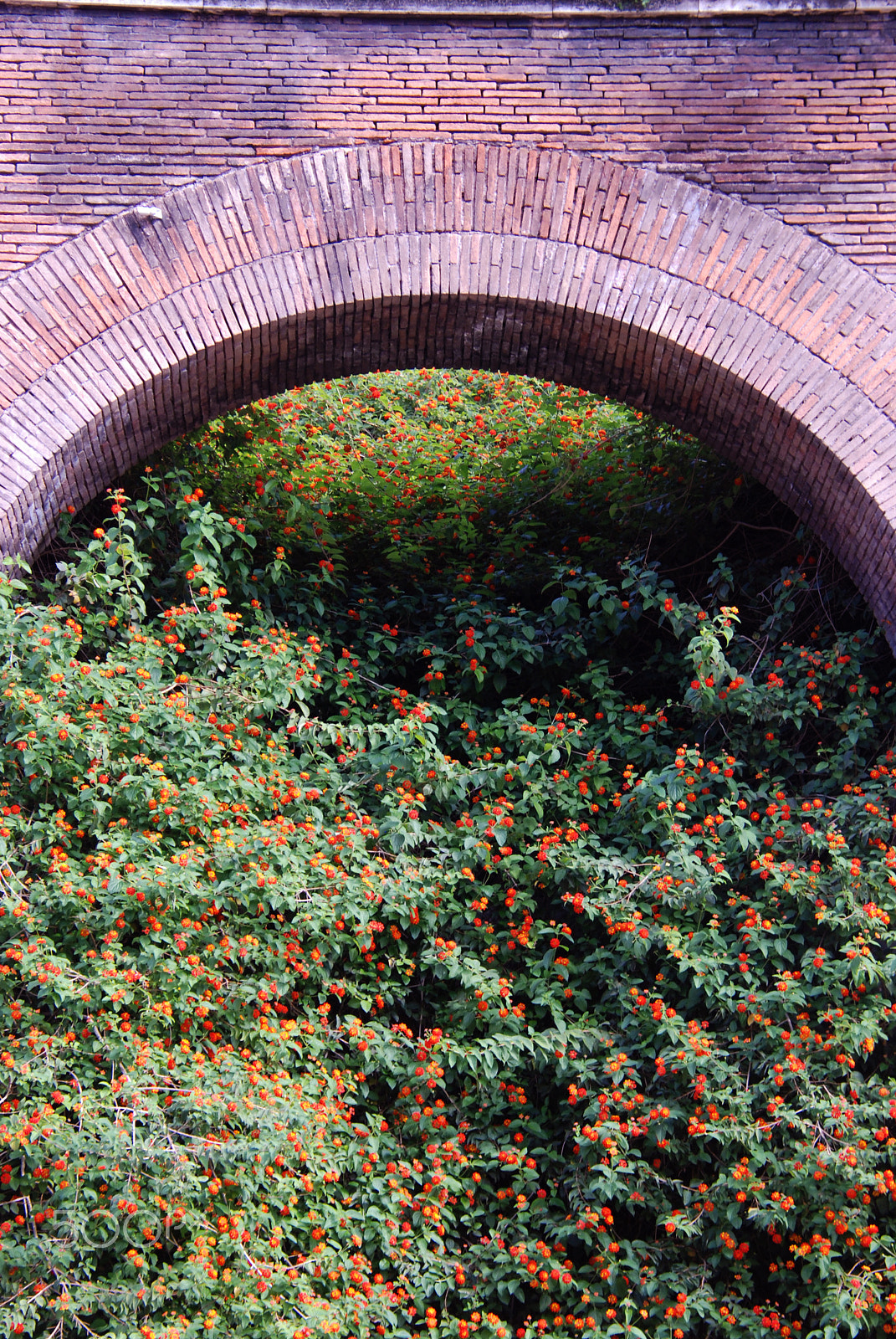 Nikon D80 sample photo. Under the bridge photography