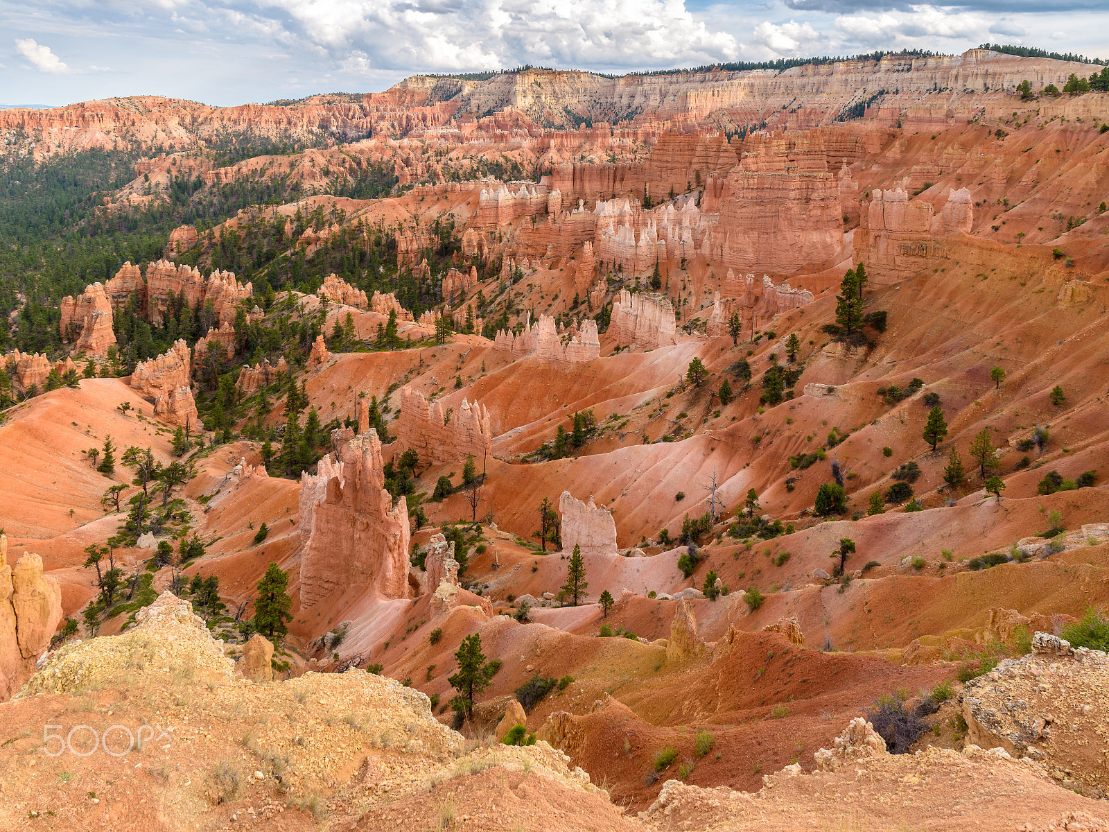 Nikon D5500 sample photo. Canyon views photography