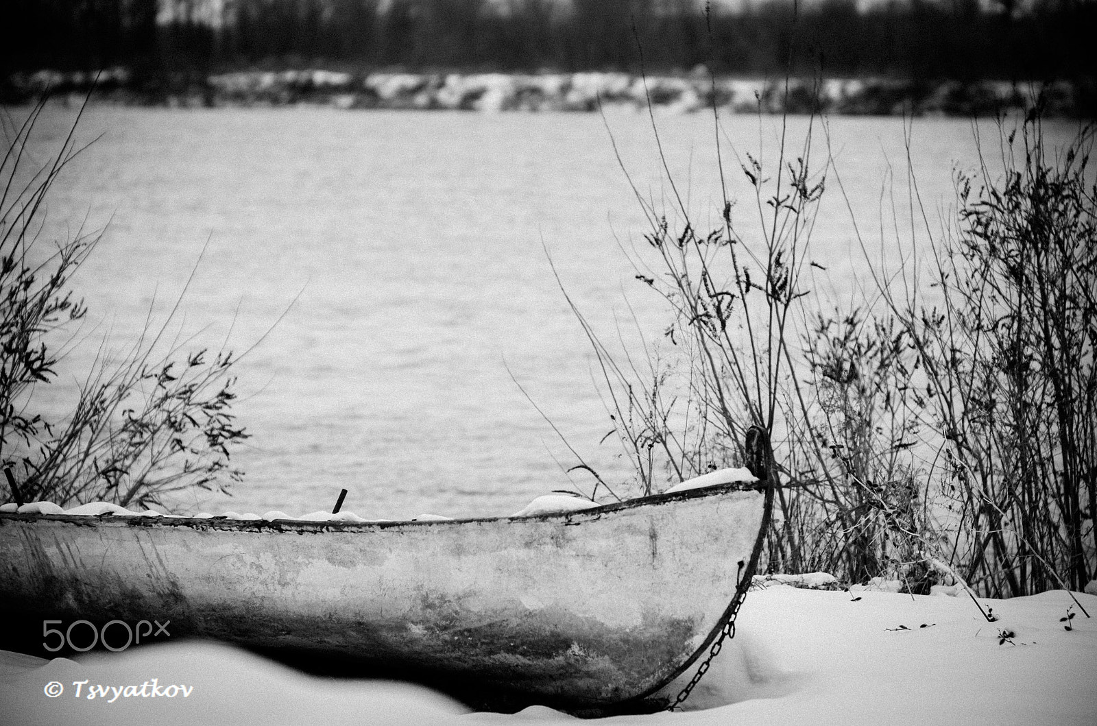 ZEISS Planar T* 85mm F1.4 sample photo. At danube photography