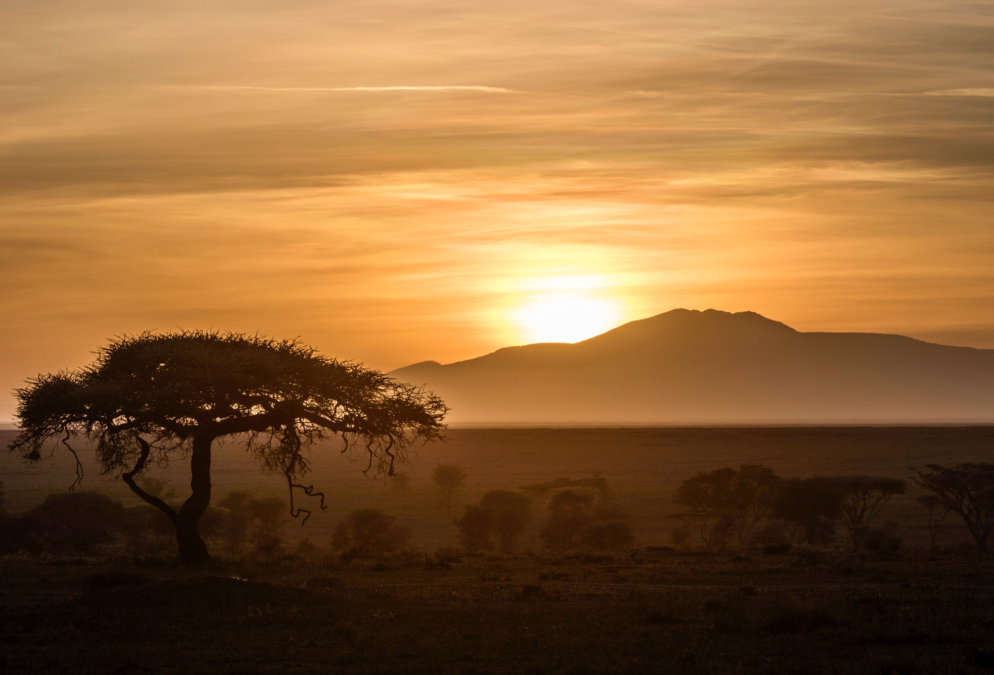 Canon EF 200-400mm F4L IS USM Extender 1.4x sample photo. Sunrise-serengeti, tanzania photography