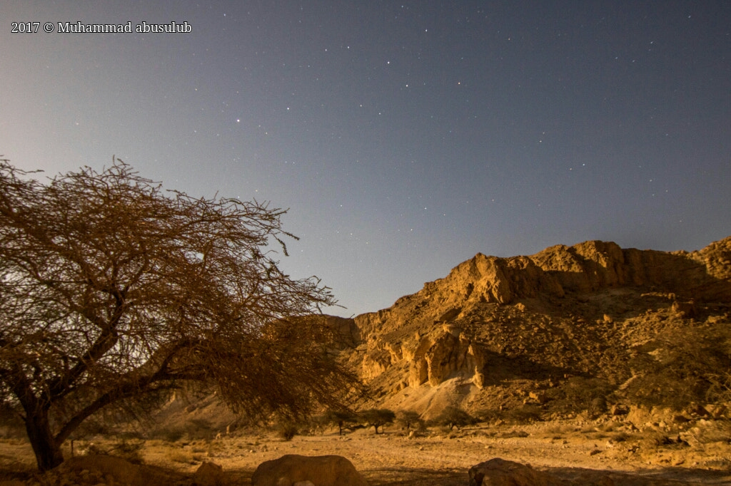Canon EOS 750D (EOS Rebel T6i / EOS Kiss X8i) sample photo. Desert  photography