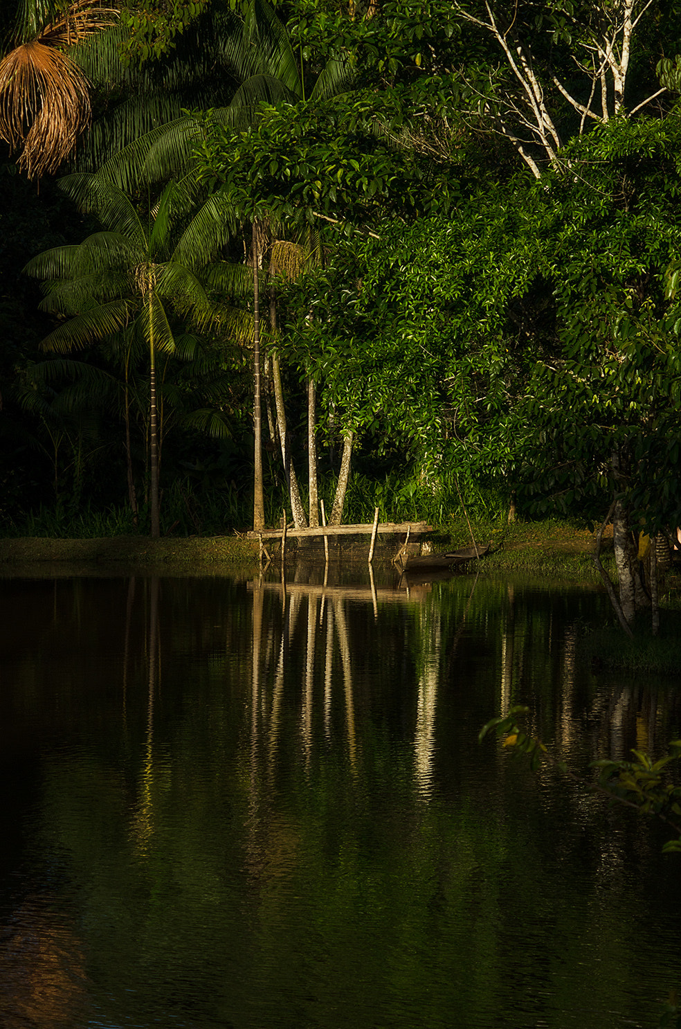 Nikon D7000 + AF Zoom-Nikkor 70-210mm f/4 sample photo. Last light of the day photography
