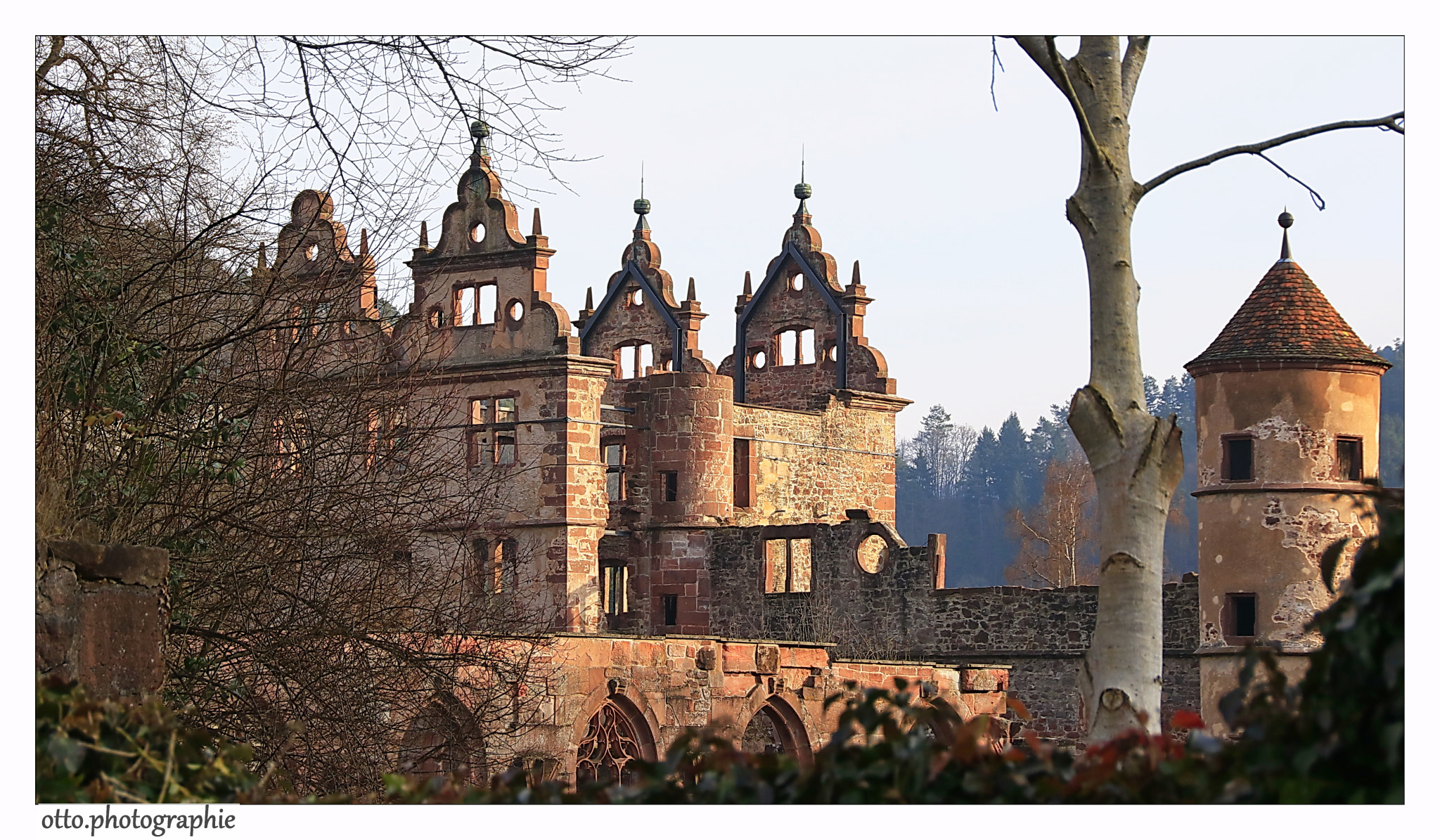 Sigma 18-250mm F3.5-6.3 DC OS HSM sample photo. Klosterruine hirsau, kreis calw photography