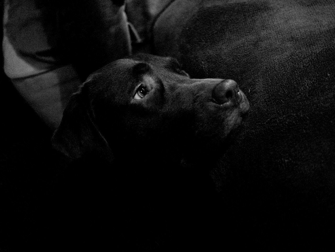 Panasonic Lumix DMC-GX85 (Lumix DMC-GX80 / Lumix DMC-GX7 Mark II) + LUMIX G 20/F1.7 II sample photo. Human eyes photography