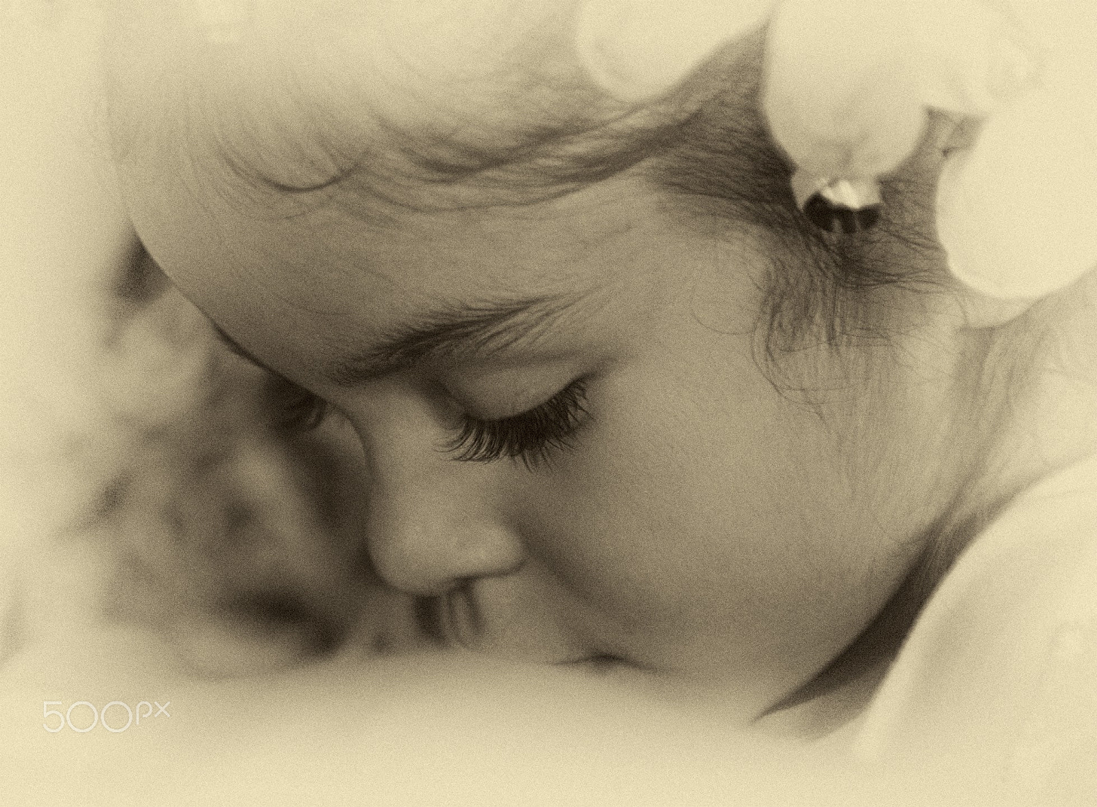 Canon EOS 5D sample photo. Tilia photography
