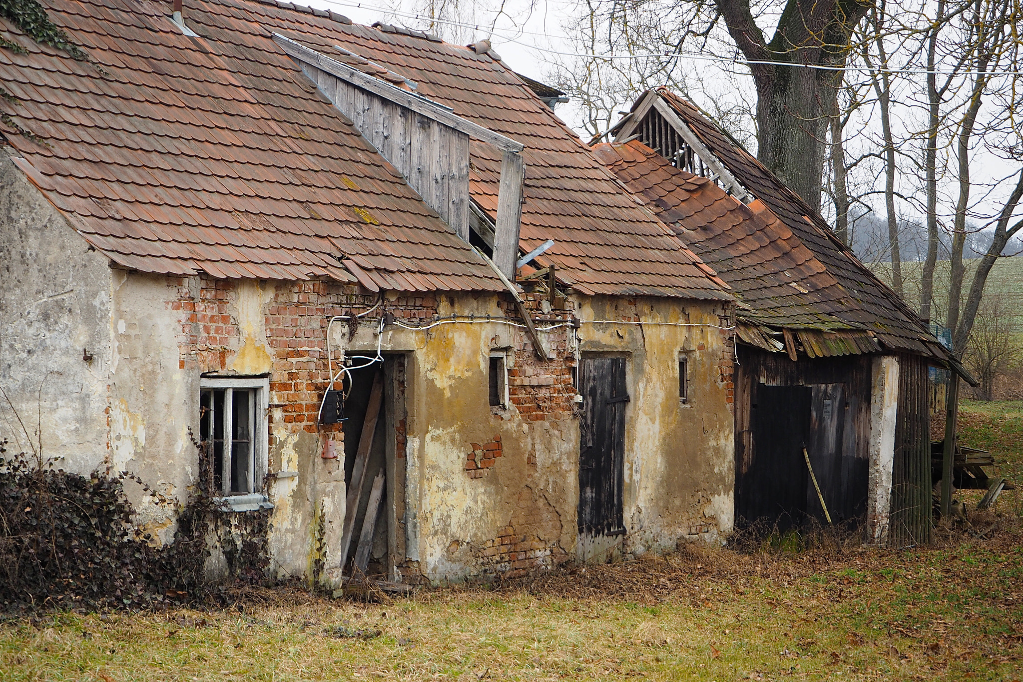 Olympus OM-D E-M5 II sample photo. Forgotten along time ago photography