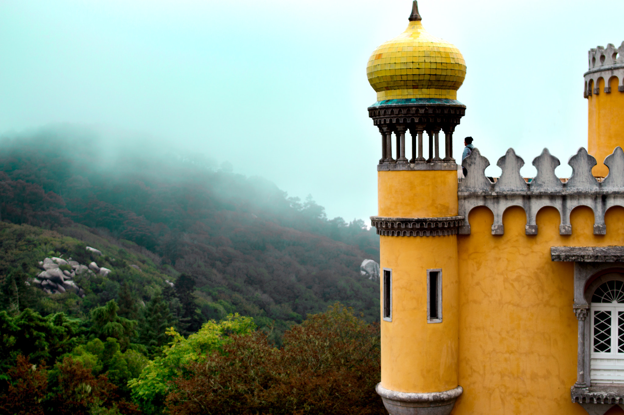 Samyang 35mm F1.4 AS UMC sample photo. Sintra's mystery photography