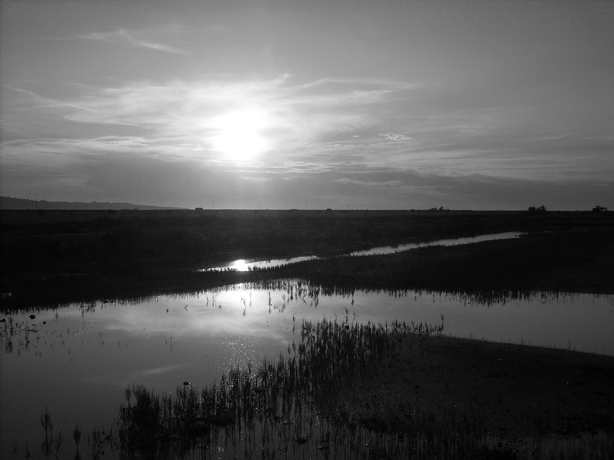 Nikon COOLPIX L10 sample photo. Sunset in salina nature park photography