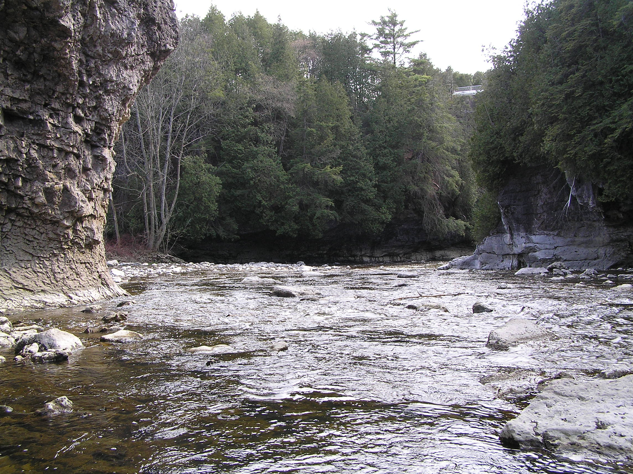 Olympus C770UZ sample photo. Irvine creek as it flows into the grand river photography