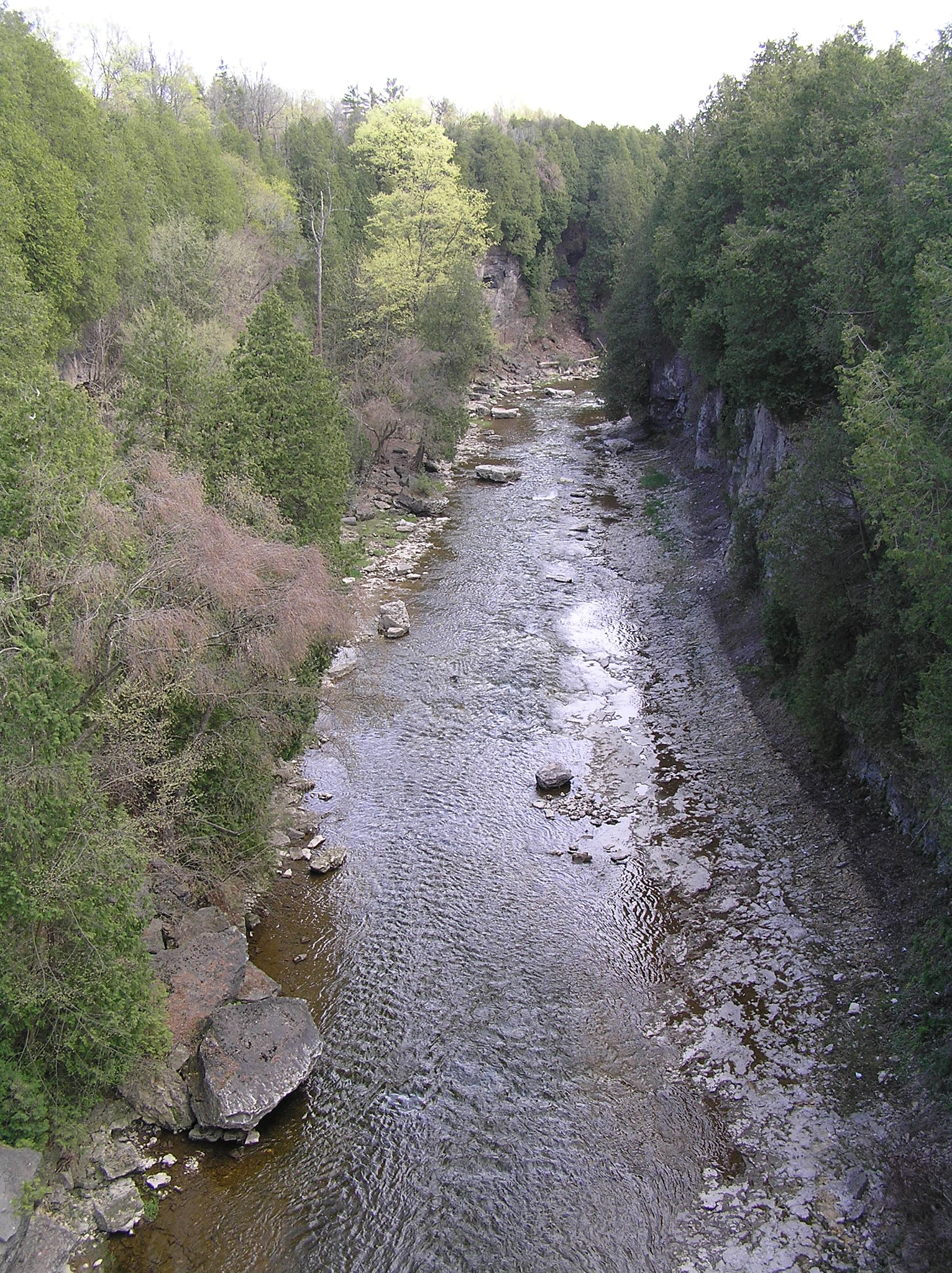 Olympus C770UZ sample photo. Downstream from david st. bridge photography