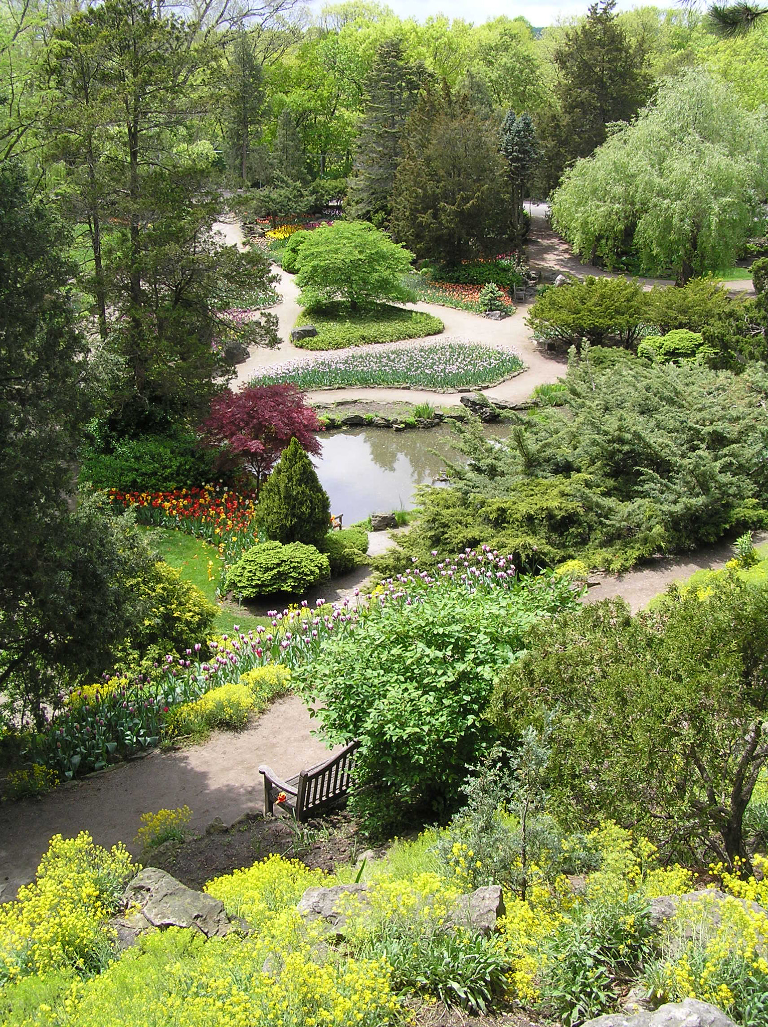 Olympus C770UZ sample photo. Rock garden at rbg from above photography