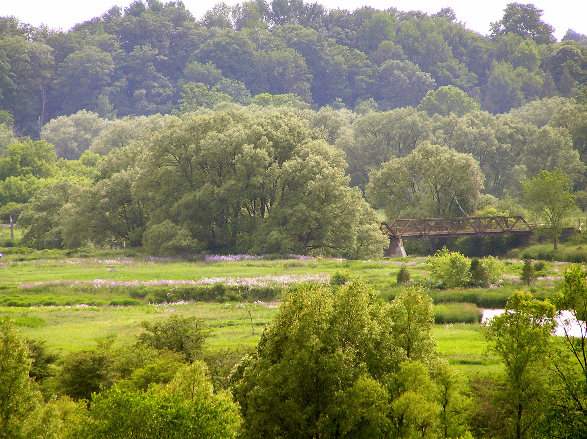 Olympus C770UZ sample photo. 8th line bridge from pilkington overlook photography
