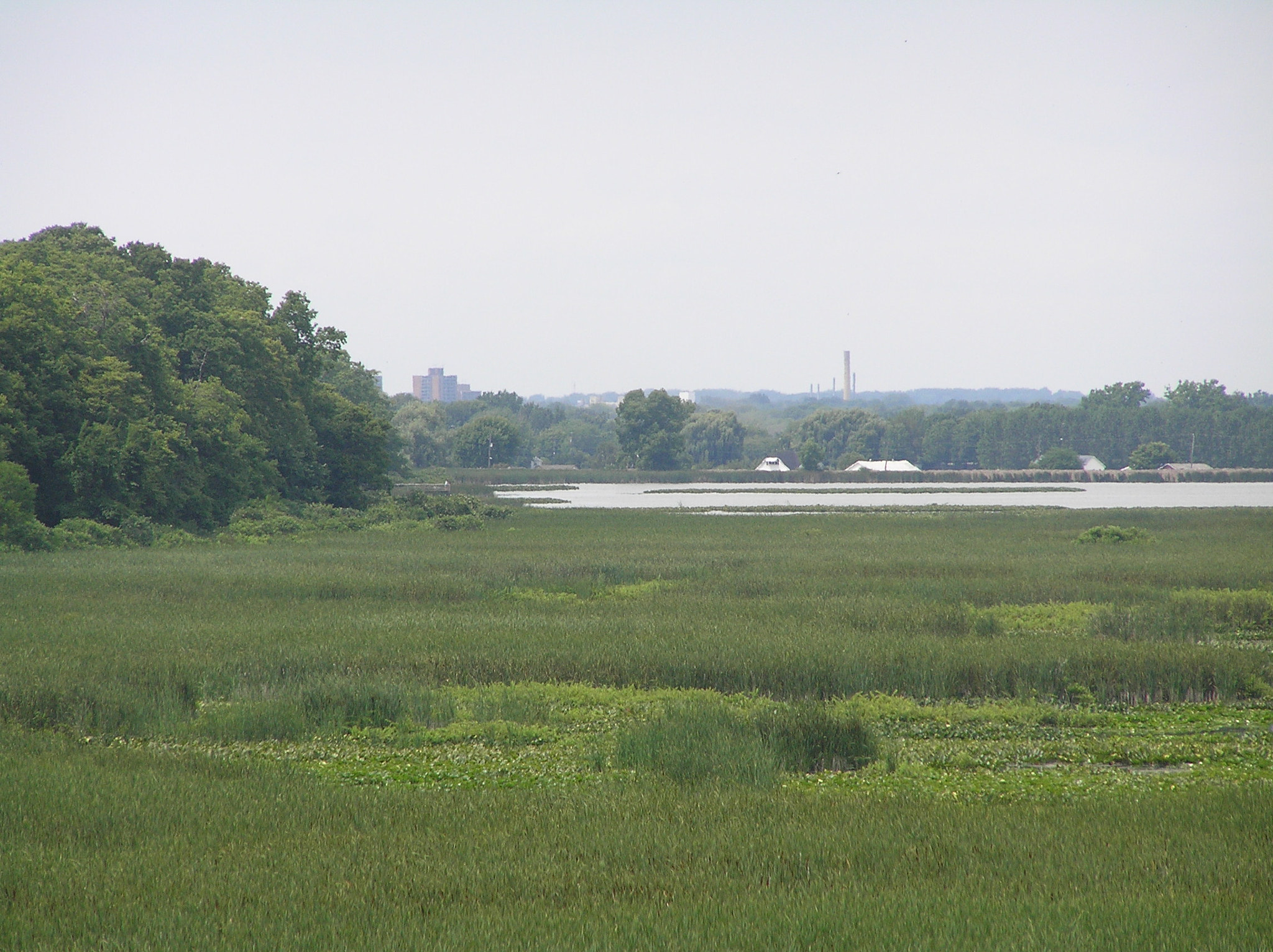 Olympus C770UZ sample photo. Zoom toward leamington from pt. pelee tower photography