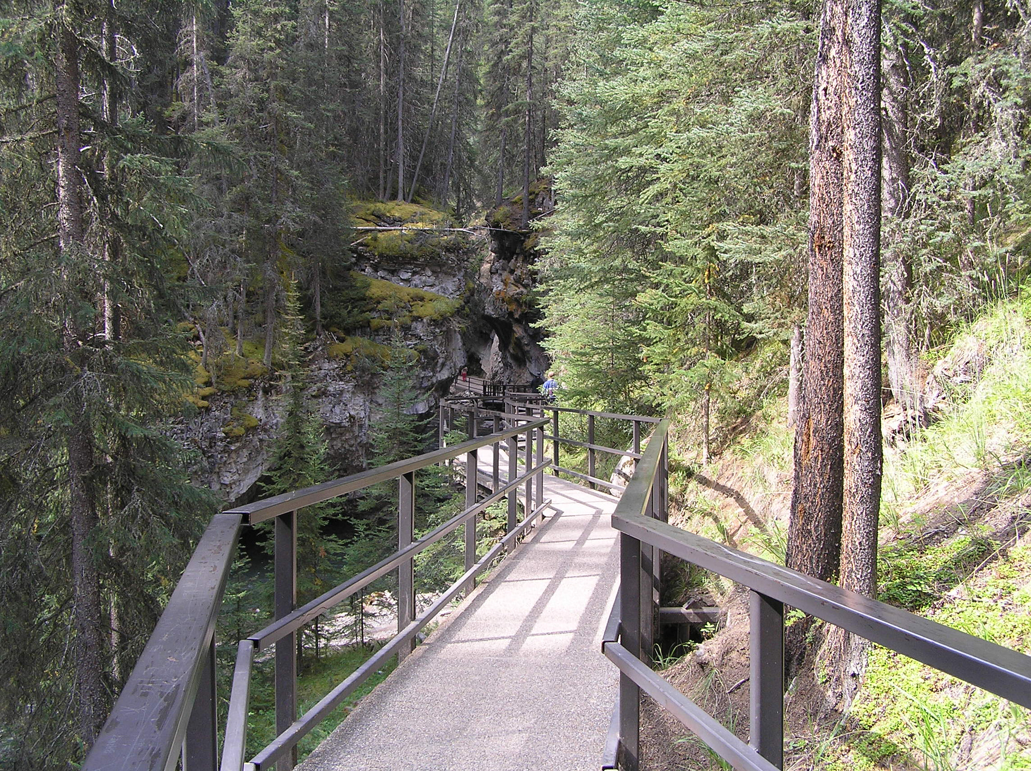 Olympus C770UZ sample photo. Johnston canyon photography