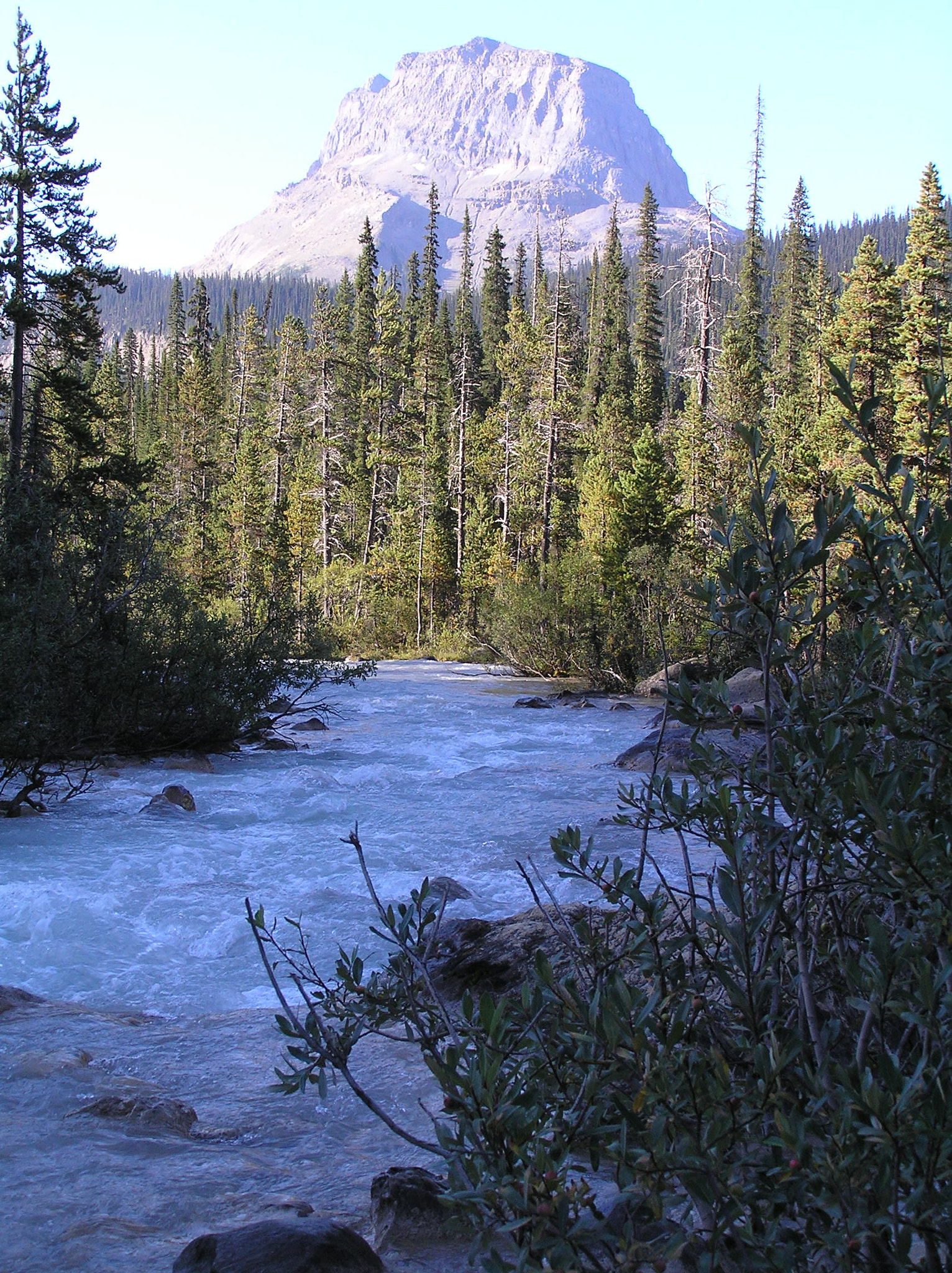 Olympus C770UZ sample photo. River below takkakaw falls photography