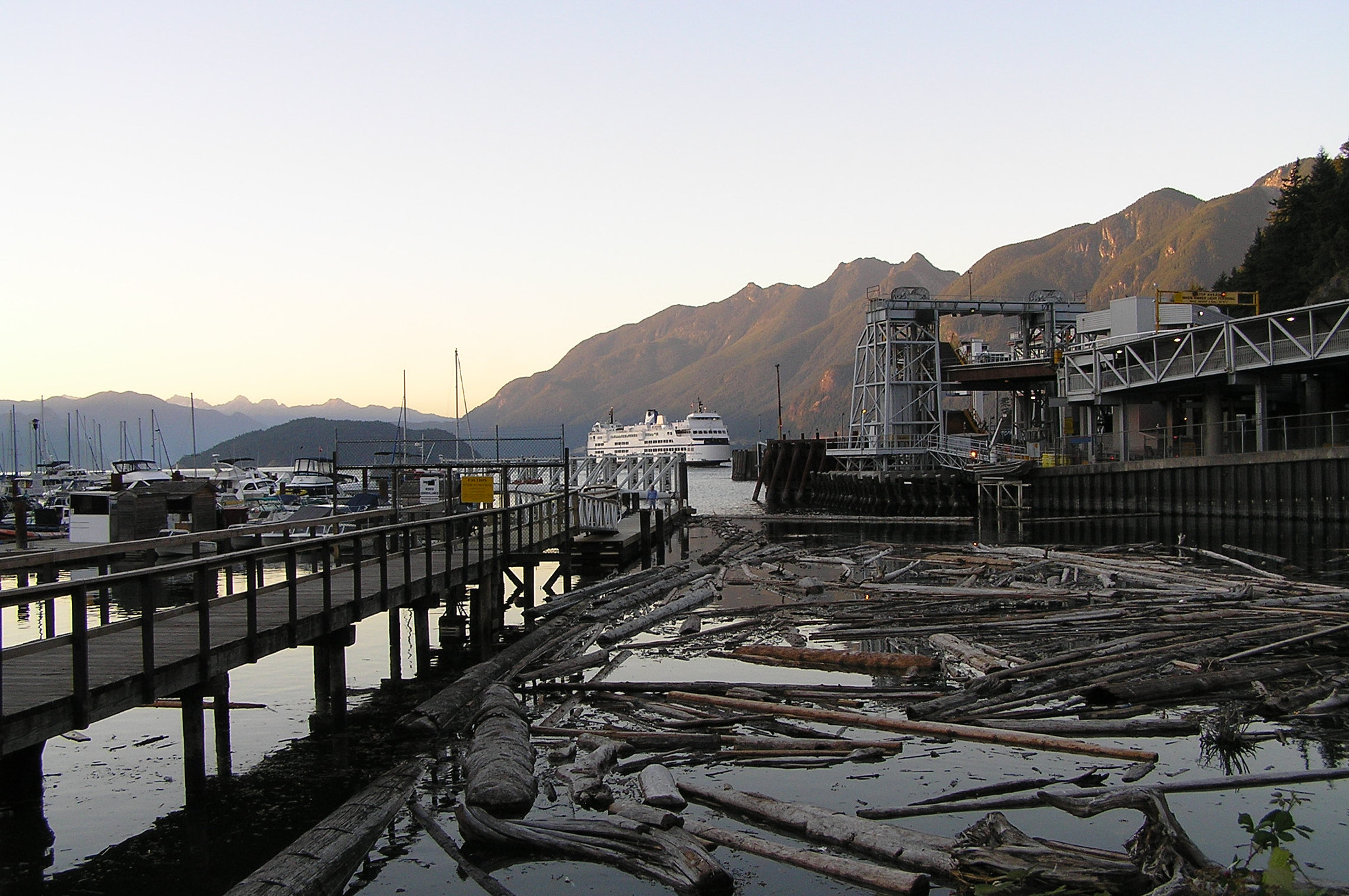 Olympus C770UZ sample photo. Floating logs by the horseshoe bay ferry terminal photography