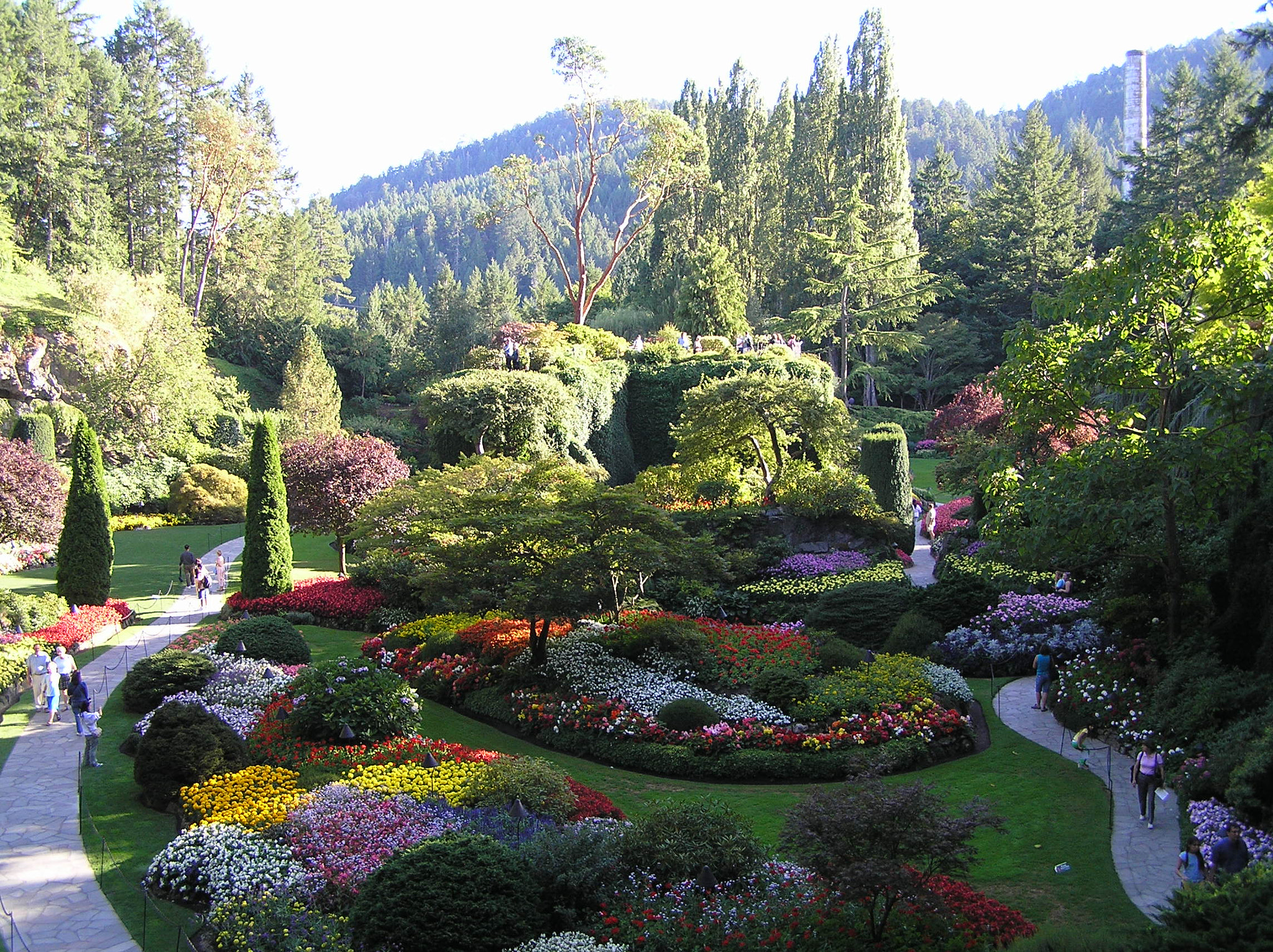 Olympus C770UZ sample photo. Butchart gardens photography