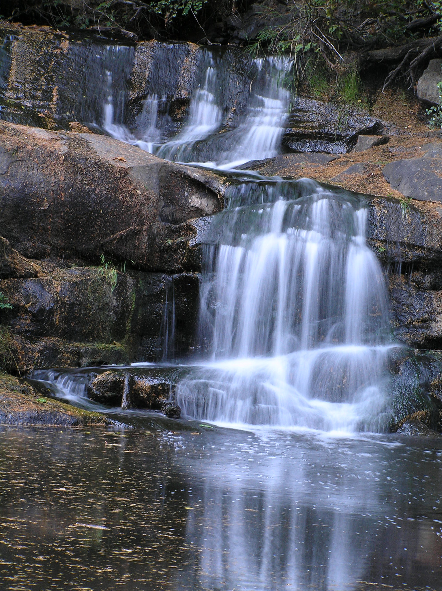 Olympus C770UZ sample photo. Falls at bowen park (long exposure) photography