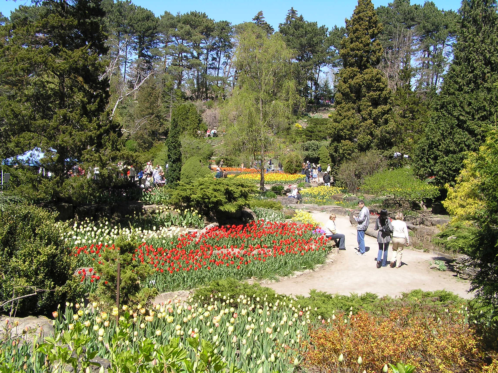 Olympus C770UZ sample photo. Rbg rock garden during tulip celebration photography