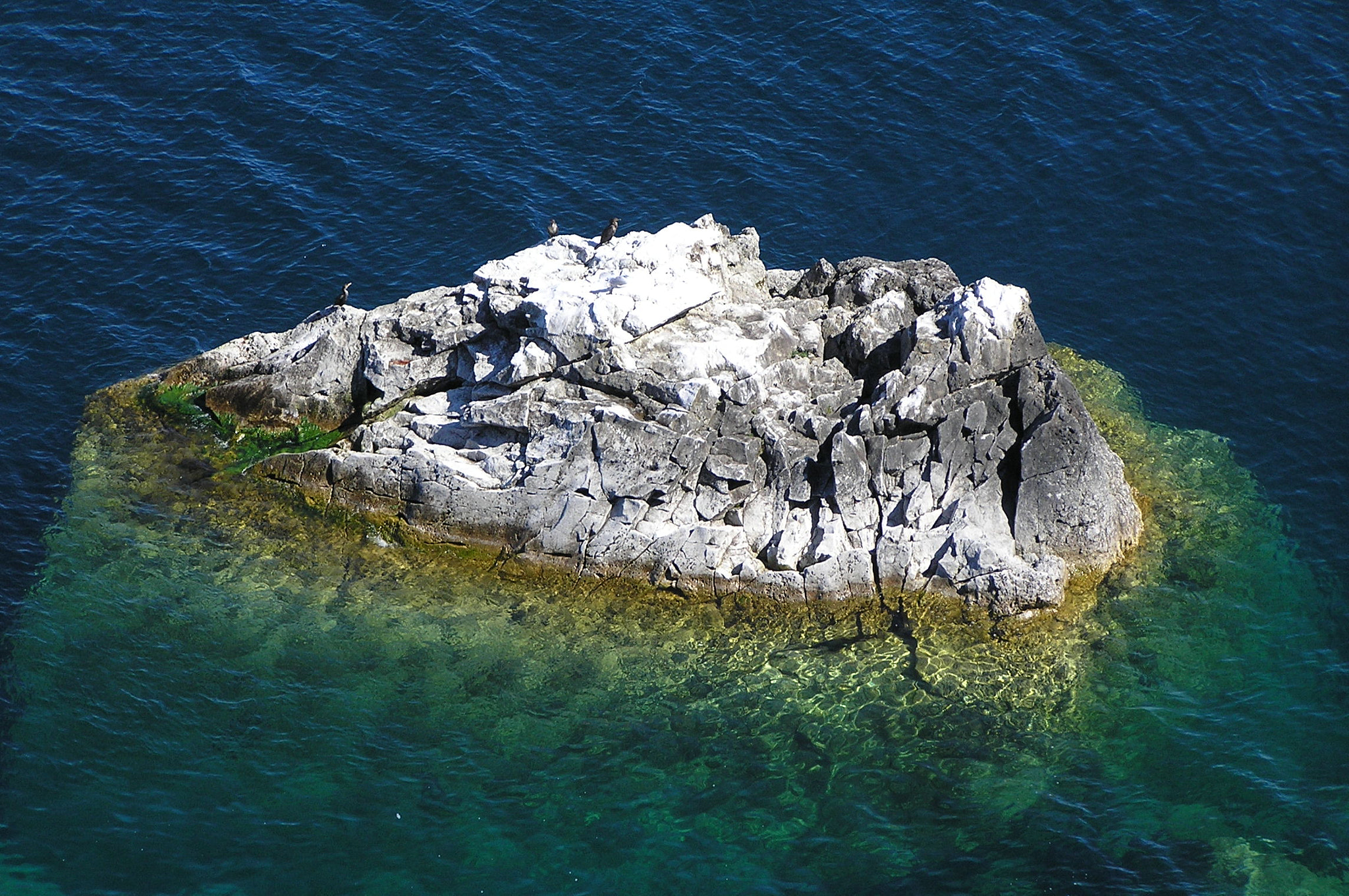 Olympus C770UZ sample photo. Islet with cormorants below cave point photography