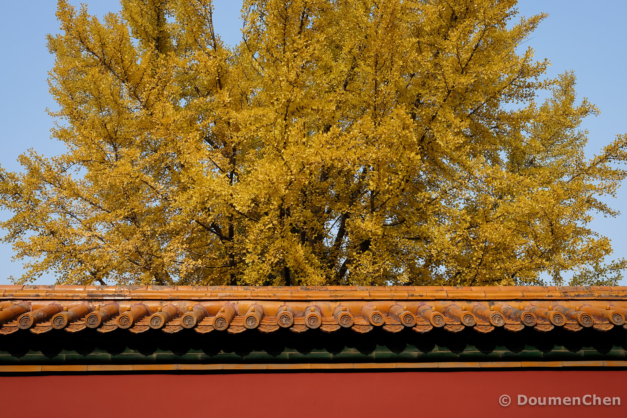 Fujifilm X-E2 + Fujifilm XF 23mm F1.4 R sample photo. Study of the yellows photography