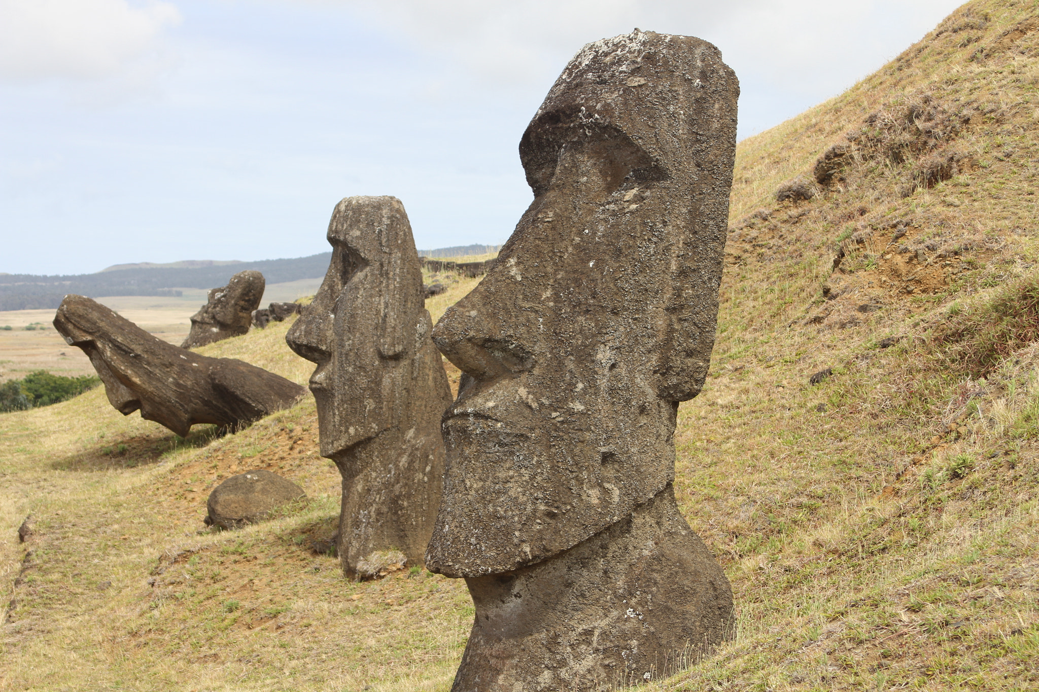 Canon EOS 7D sample photo. Walking moai photography