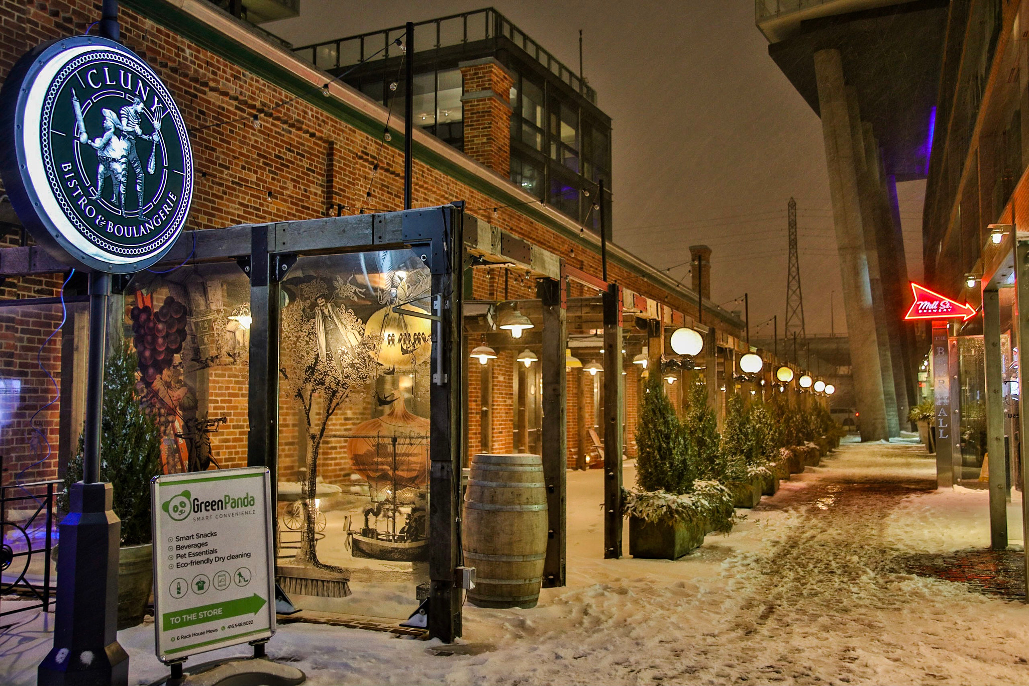Canon EOS 5DS + Canon EF 24-105mm F4L IS USM sample photo. The distillery district's light installation 4 photography