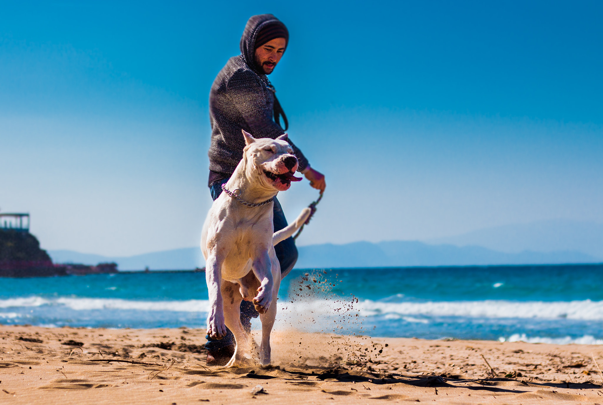 Canon EOS 650D (EOS Rebel T4i / EOS Kiss X6i) sample photo. Dogo having fun on the beach photography