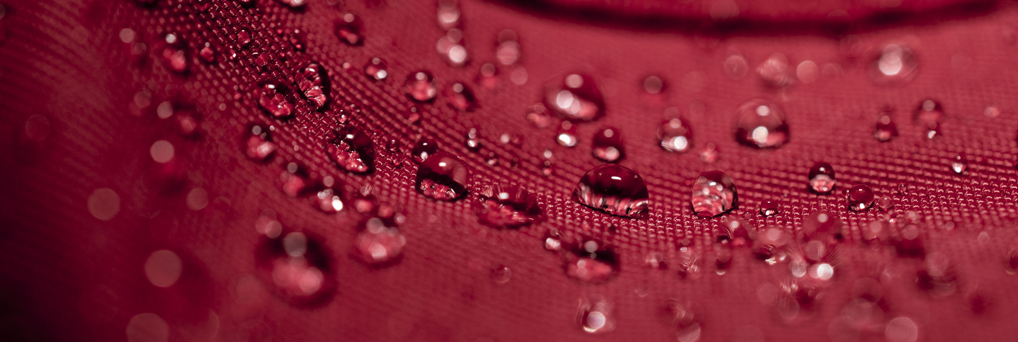Nikon AF-S DX Micro Nikkor 40mm F2.8 sample photo. Red vs rain photography