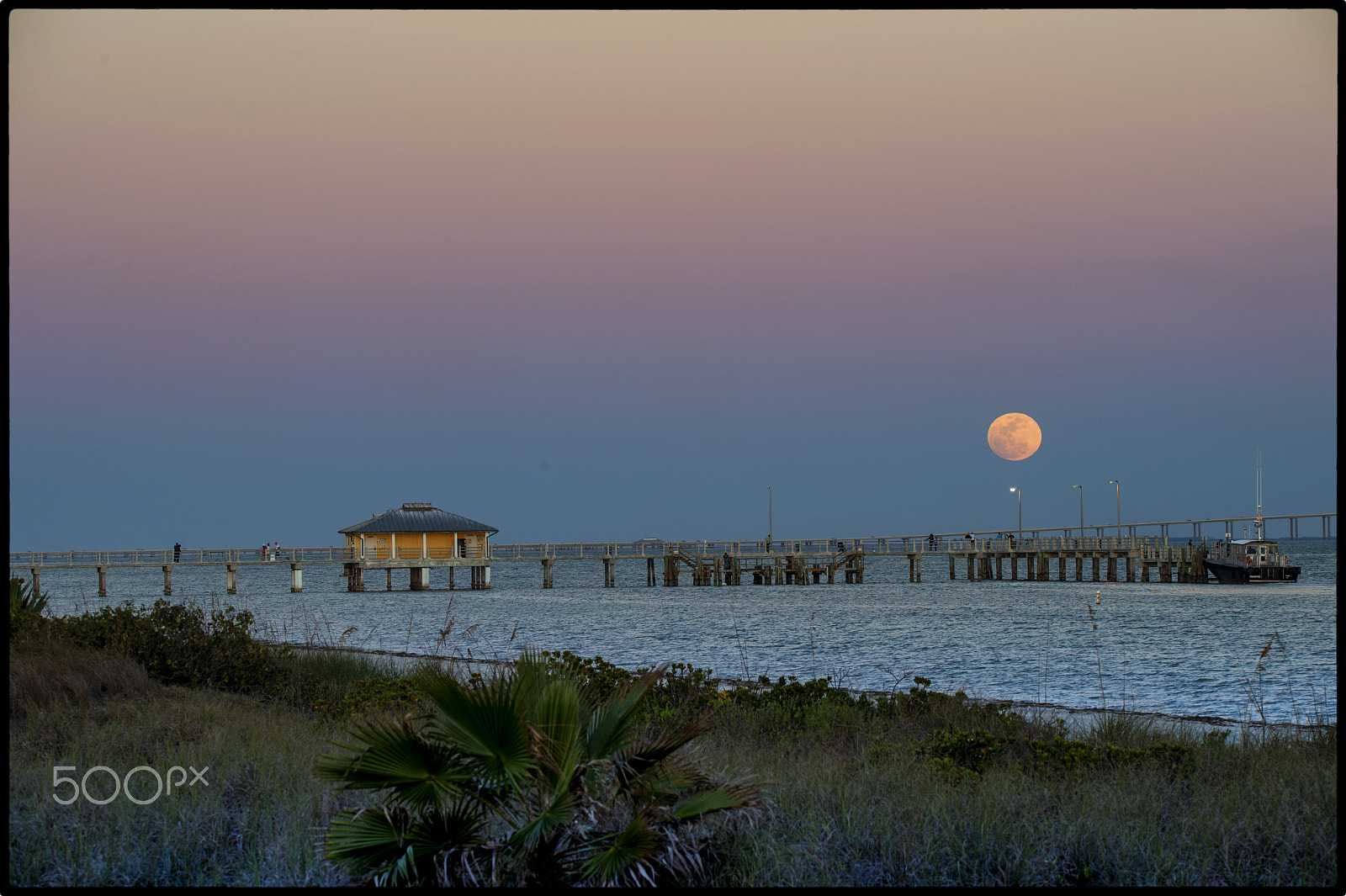 Nikon D4 sample photo. Bay pier moonrise photography